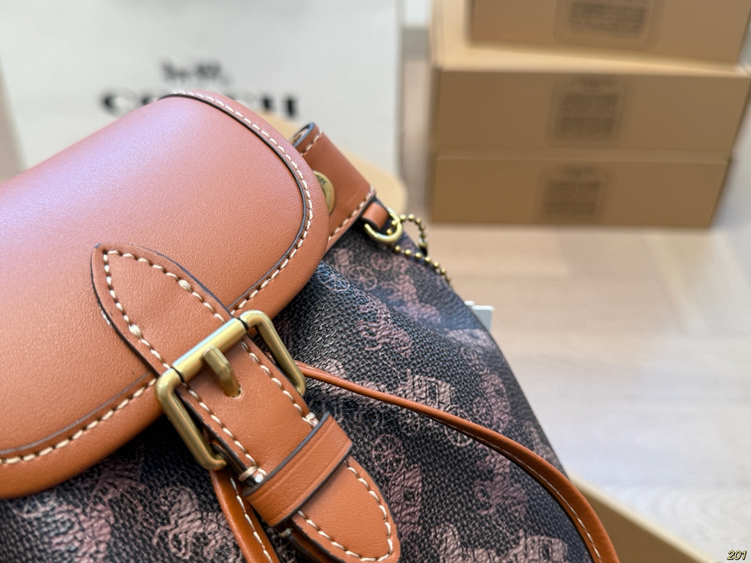 Coach backpack for everyday wear