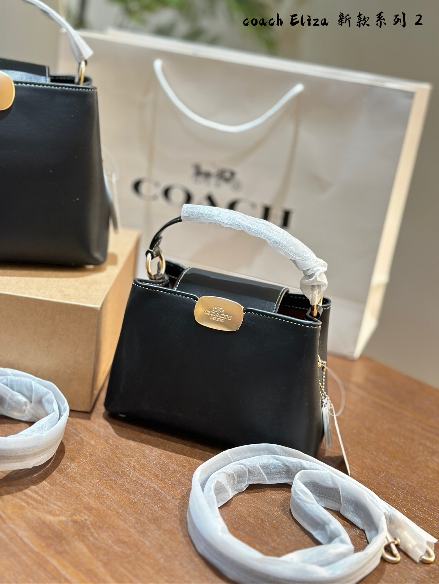 COACH Elizamini handbag