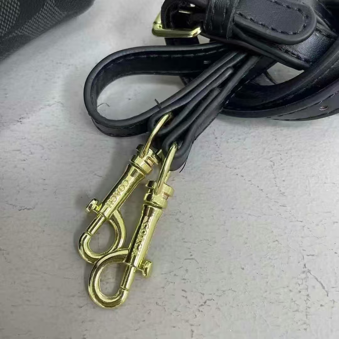 Coach fashion crossbody bag