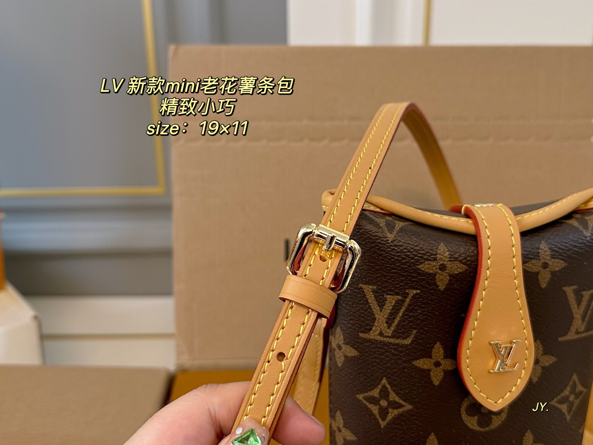 LV mini shoulder bag