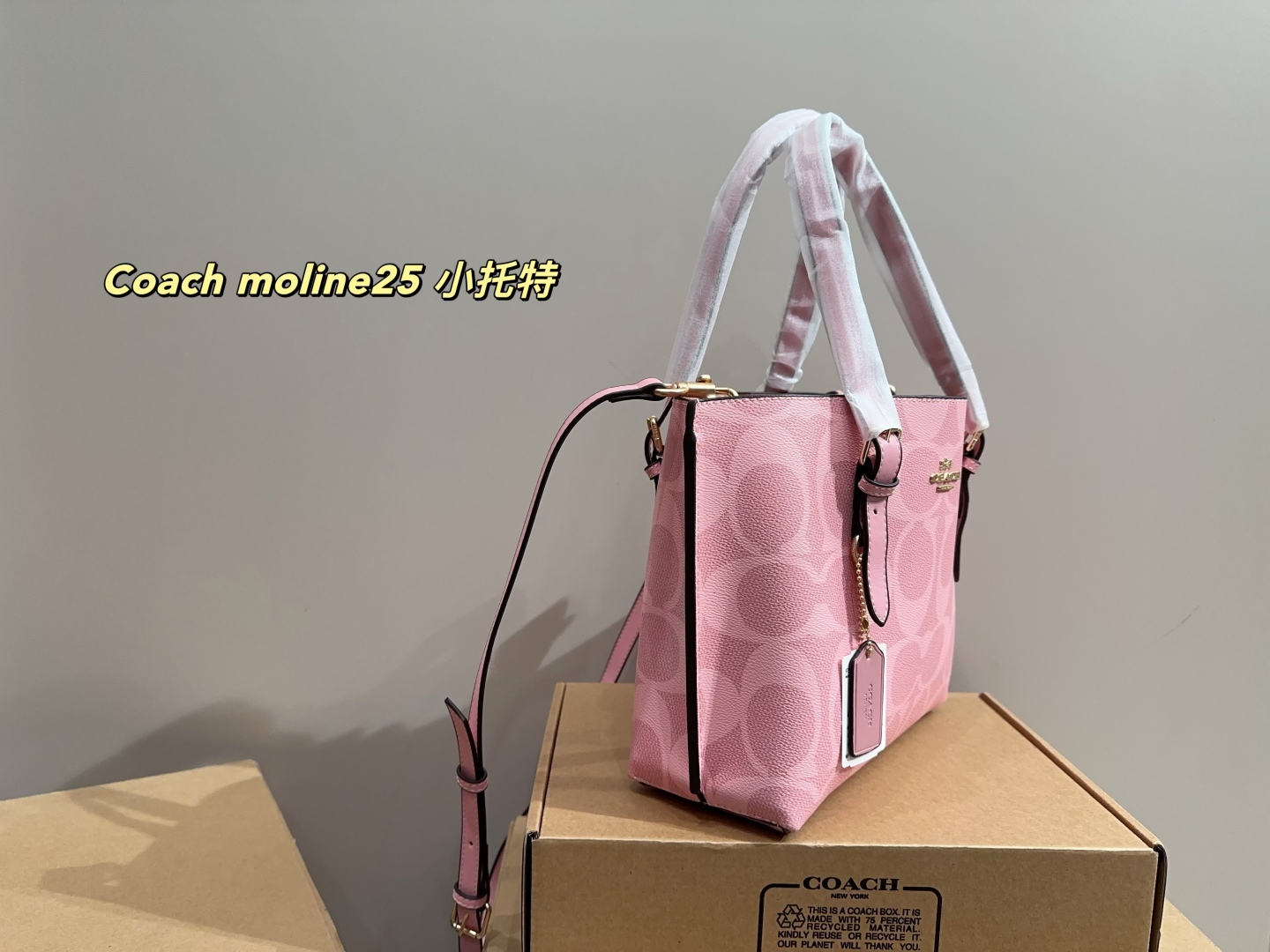 Coach moline25 small tote