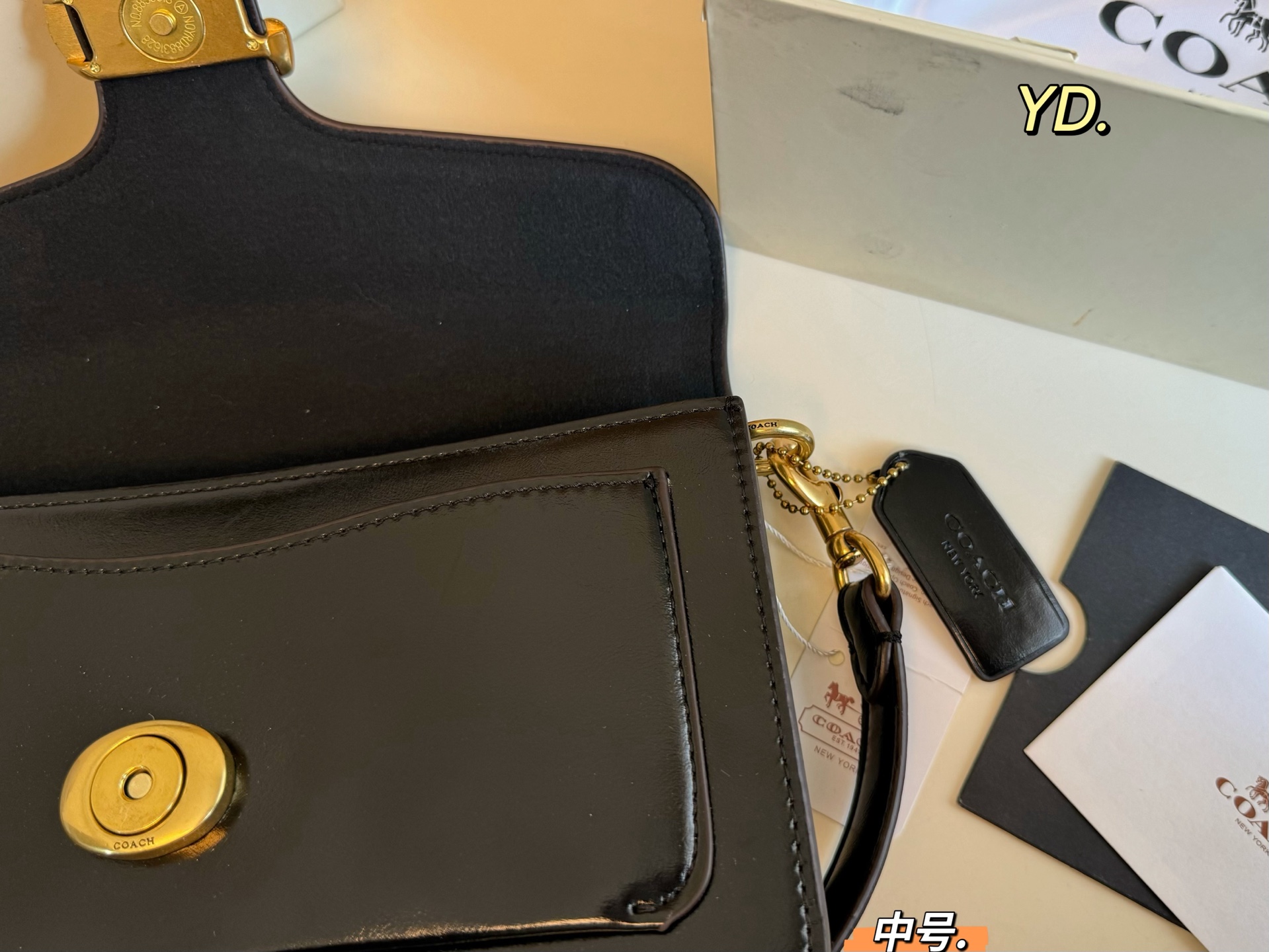 COACH Tabby Dionysus bag