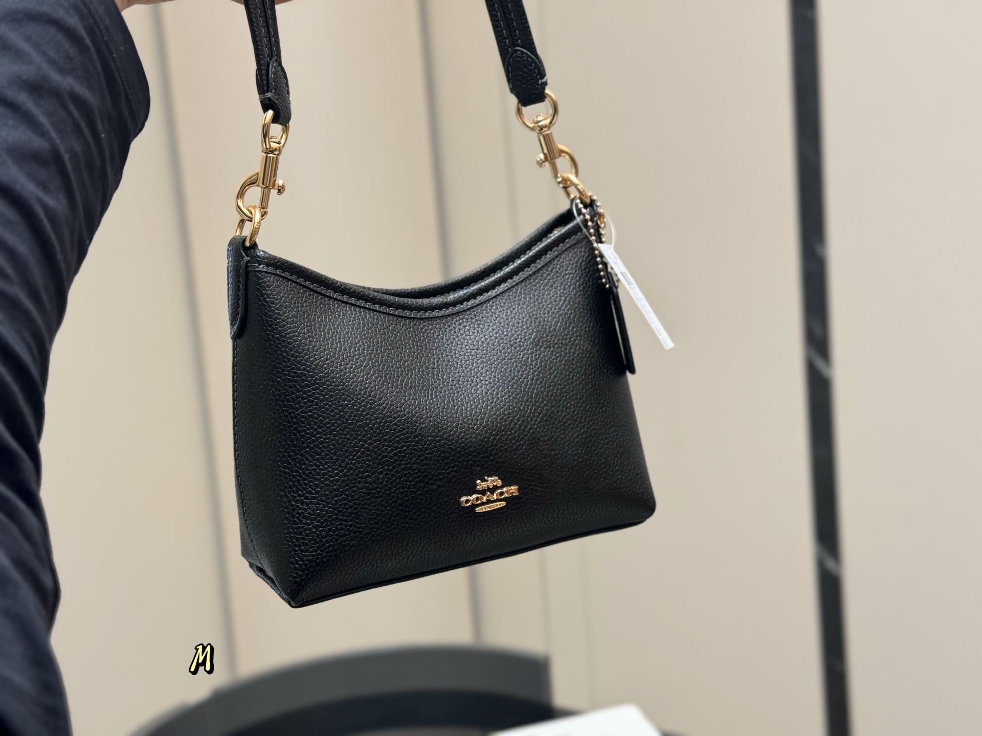 Coach mini Laurel Hobo Bag