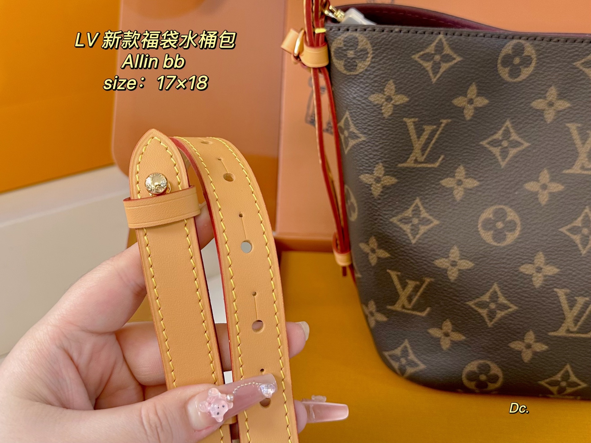 LV new Allinbb bucket bag