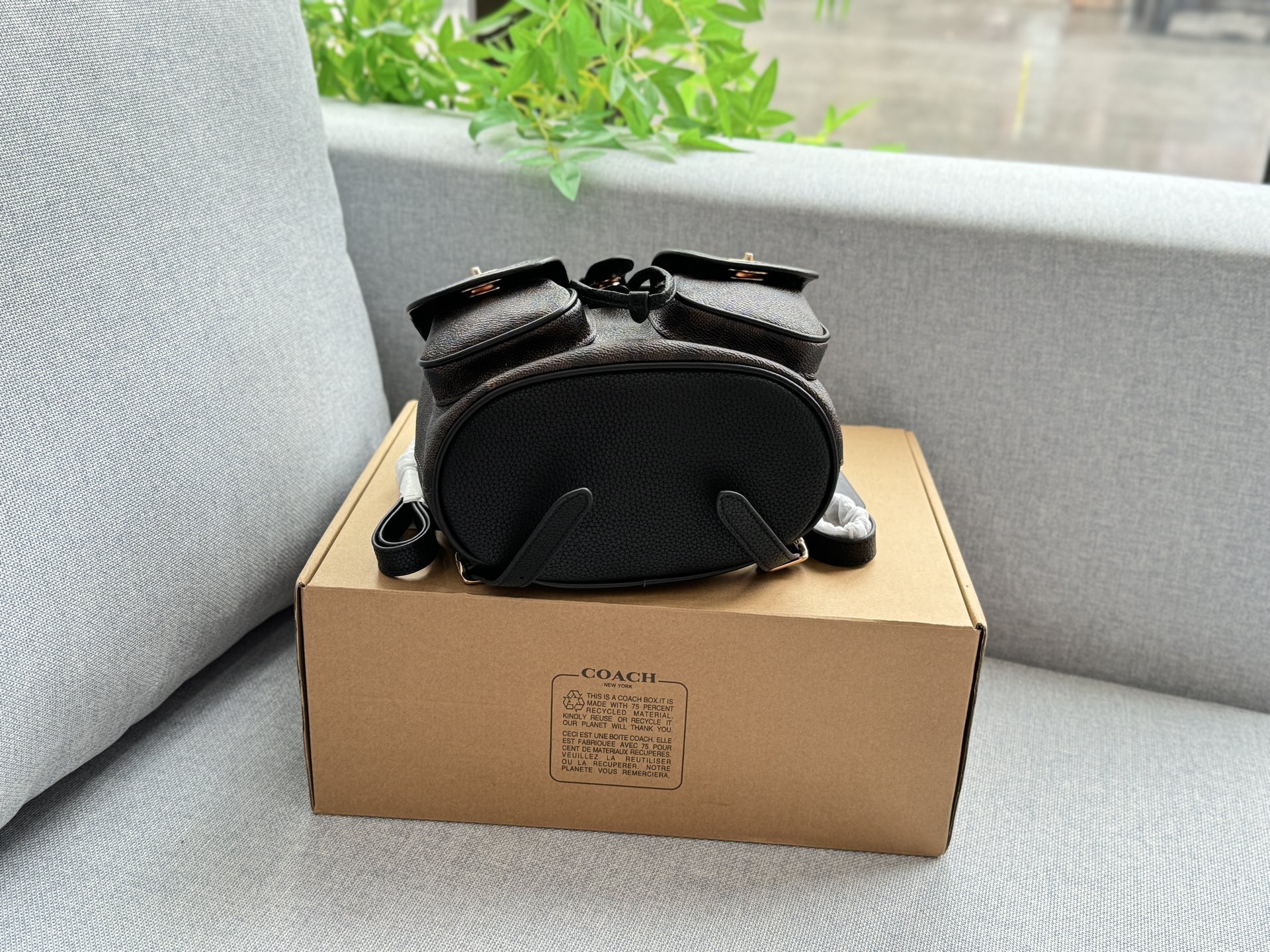 Coach Hadley 23 Backpack