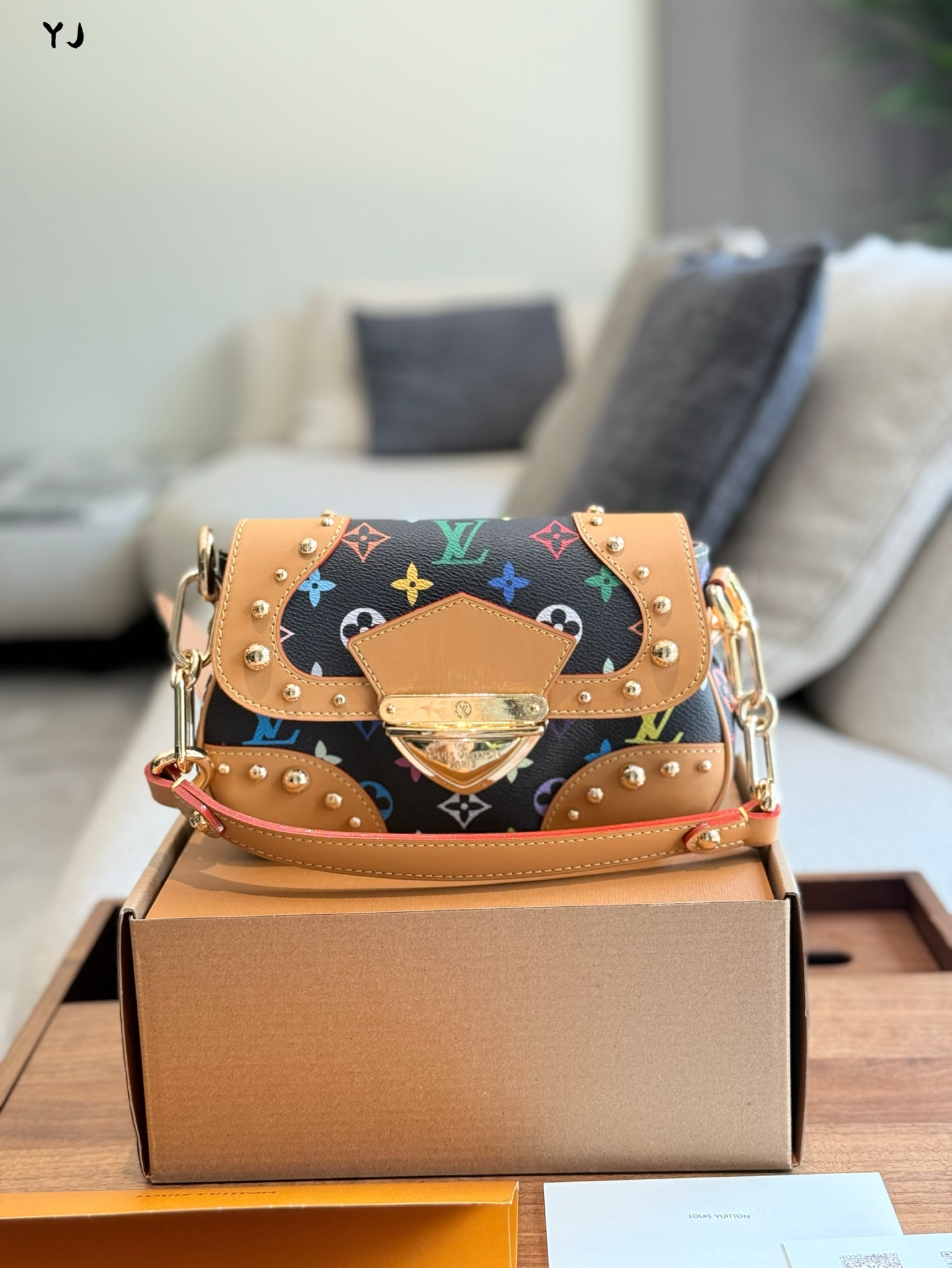 LV Murakami Takashi Limited Edition underarm gold coin