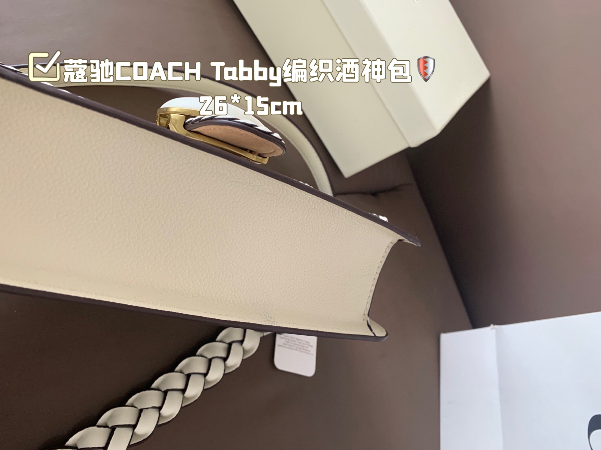 COACH Tabby braided Dionysus bags