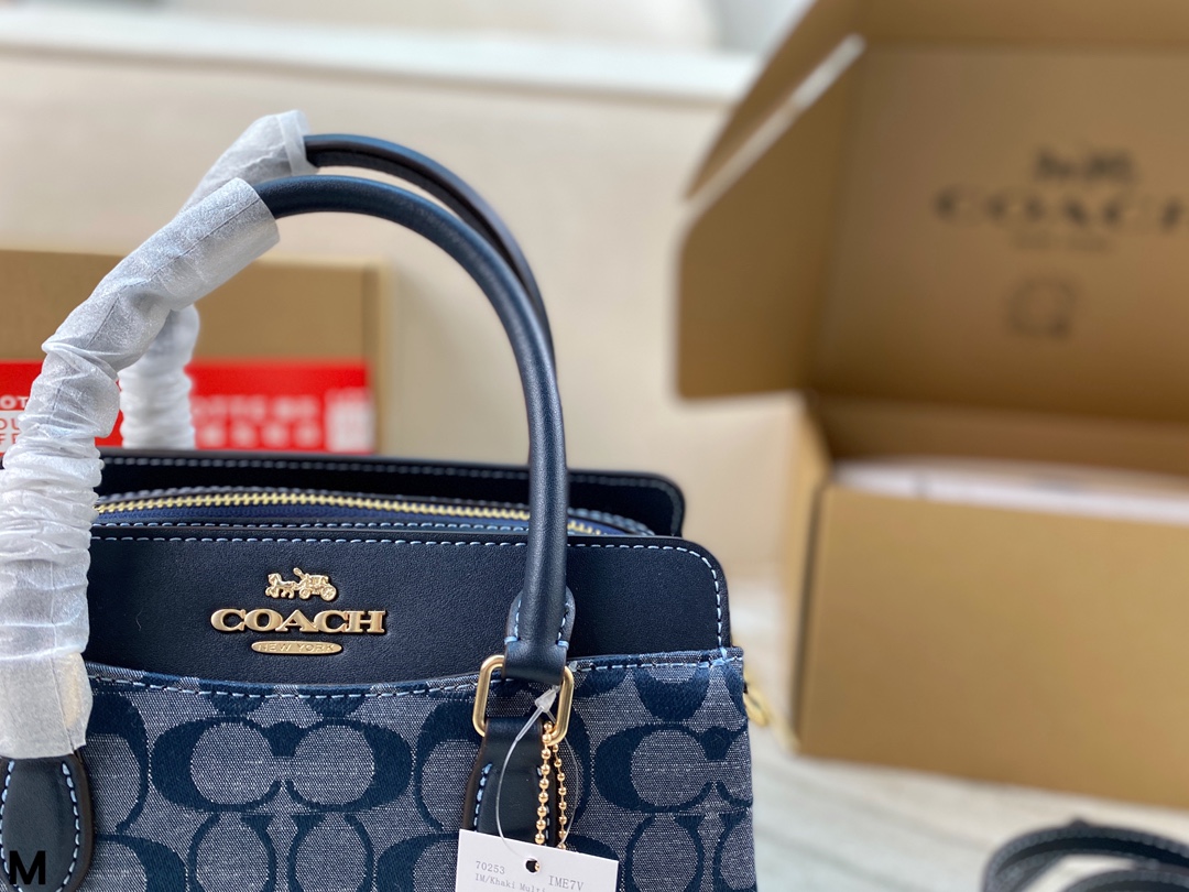 Coach Darcie handbag