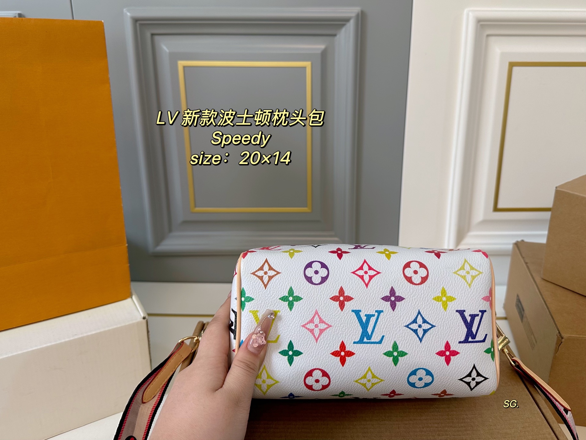 LV speedy Boston pillow bag