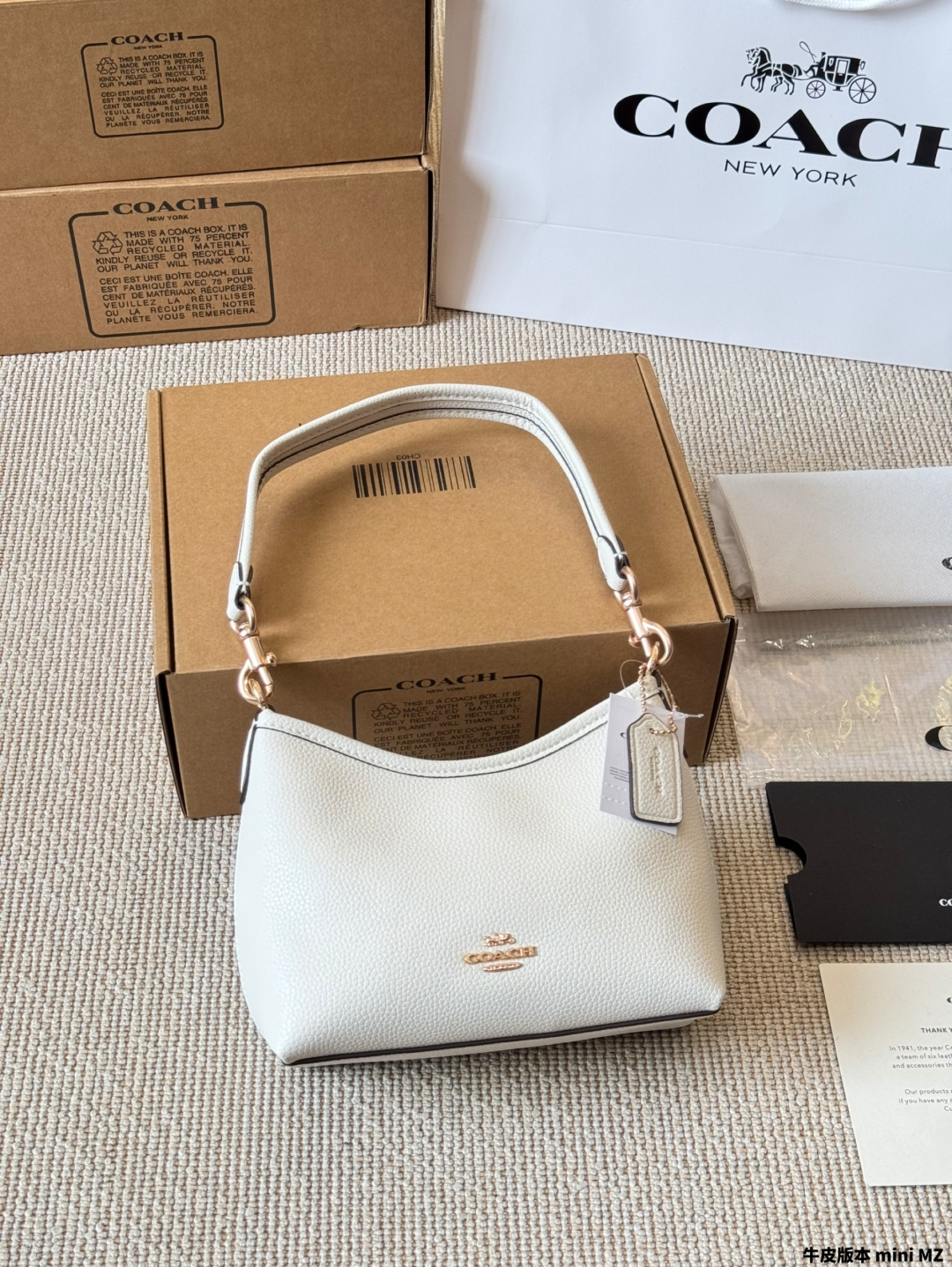 Coach's new laurel 19 hobo bag