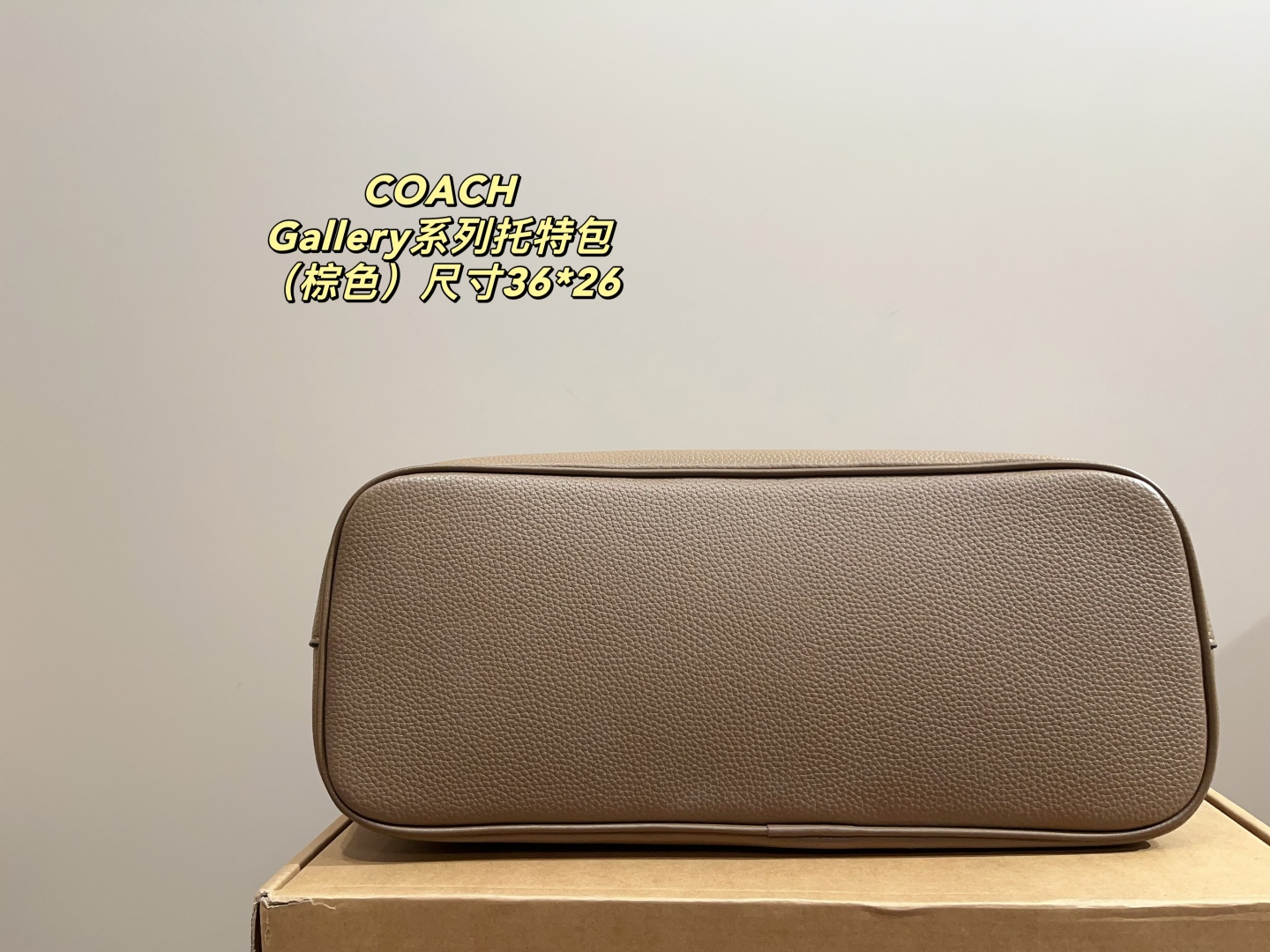 Coach Gallery Series Tote Bag