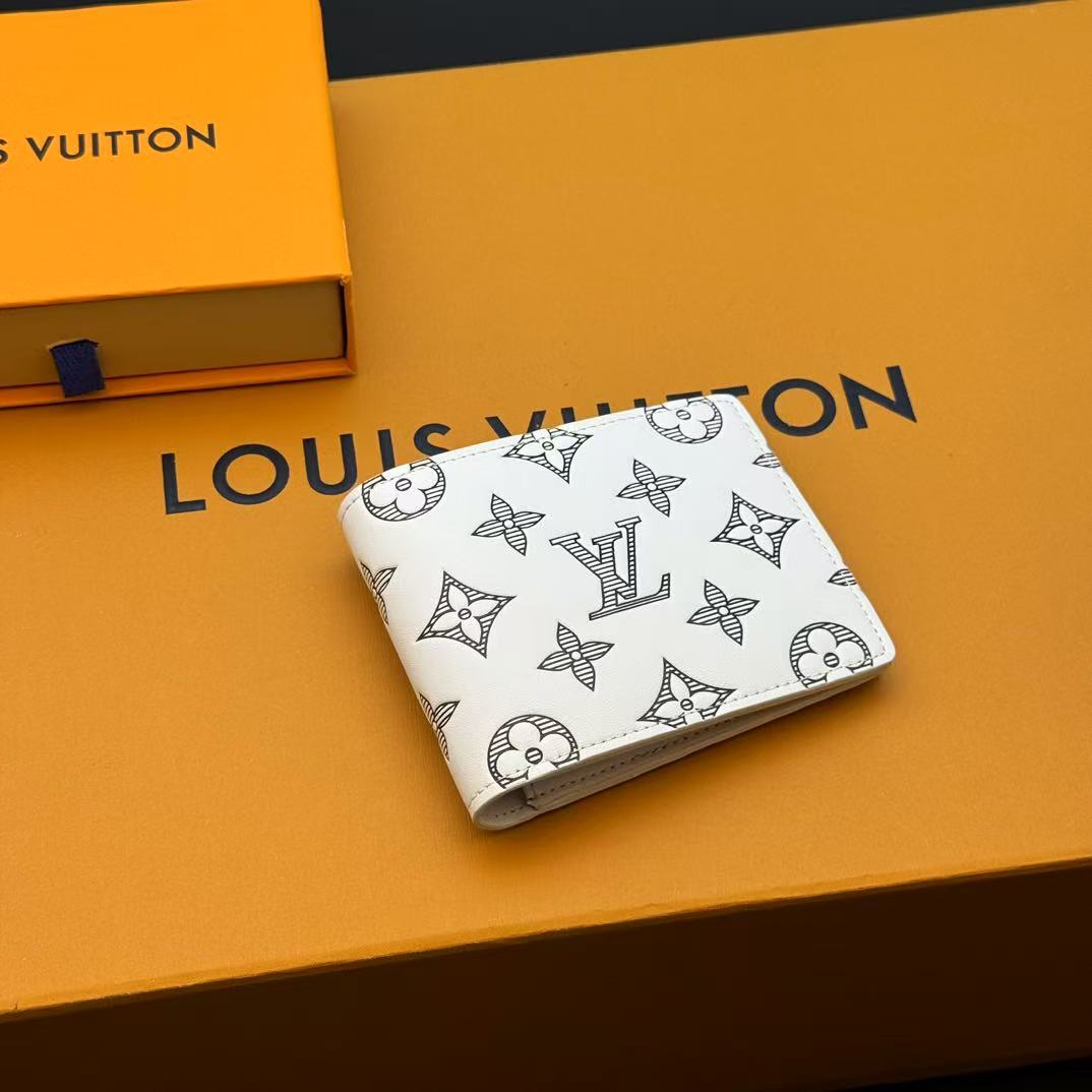 Louis Vuitton multiple wallet