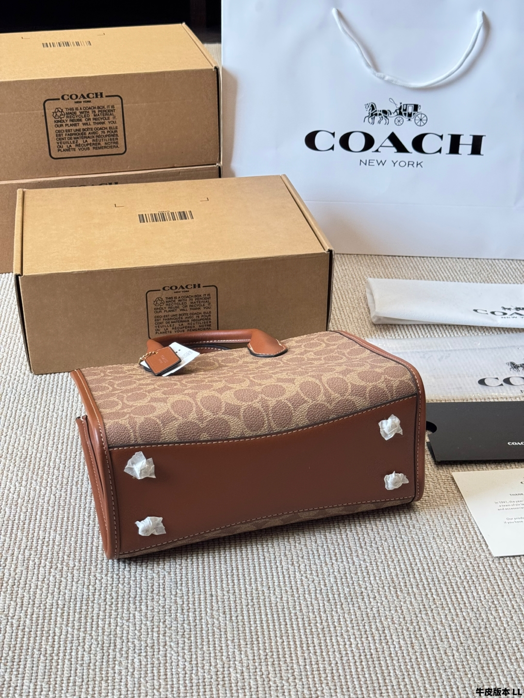 Coach Small Tote Bag is beautiful and practical