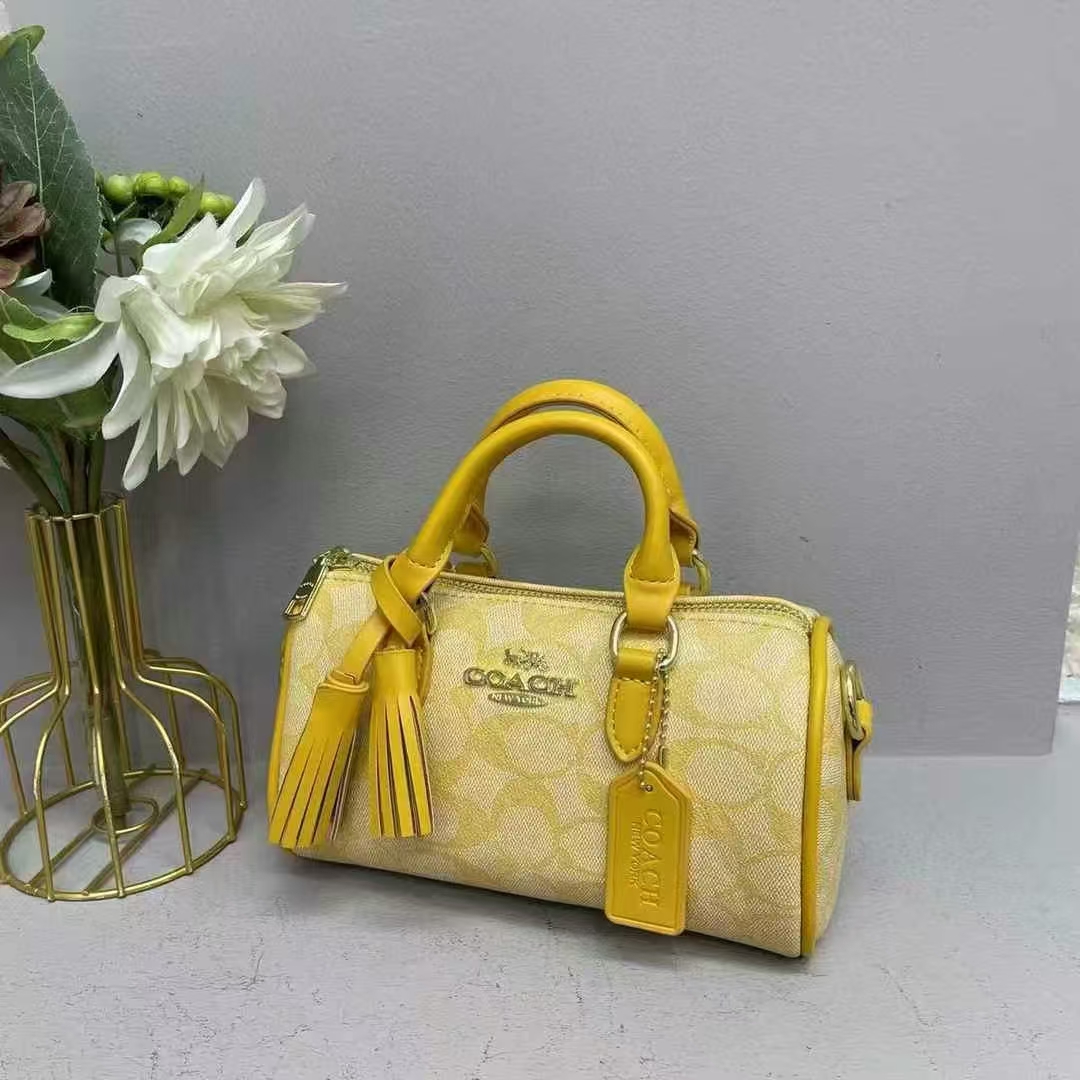 Coach fashion crossbody bag