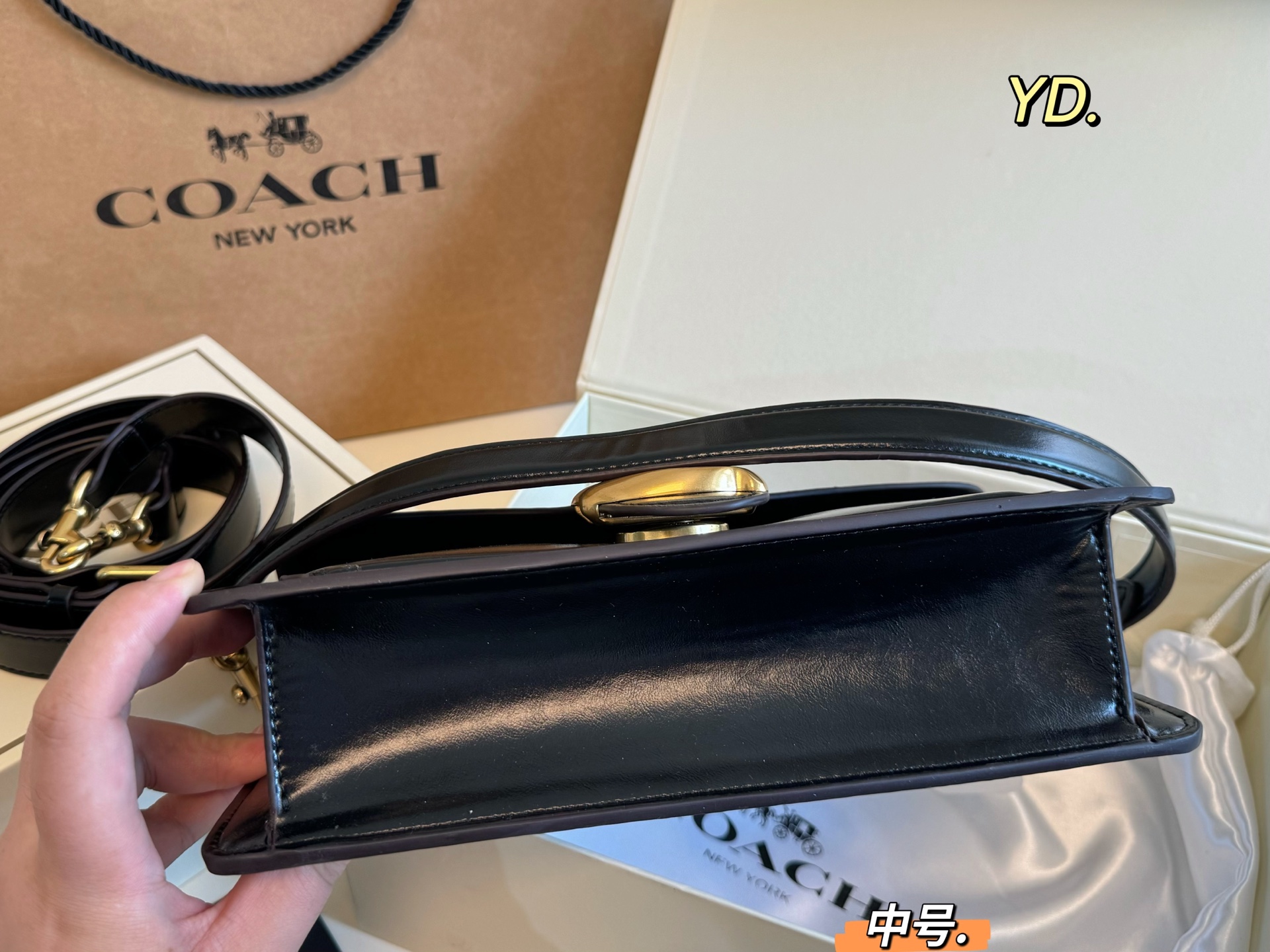 COACH Tabby Dionysus bag