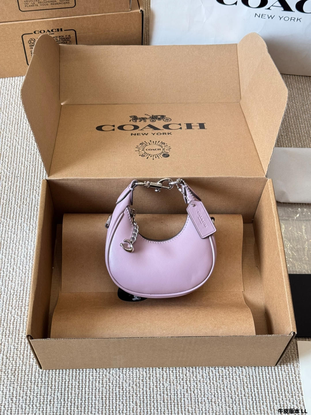 COACH mini crescent bag