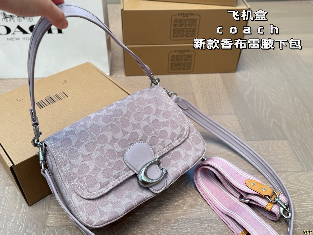 Coach Chambre underarm bag