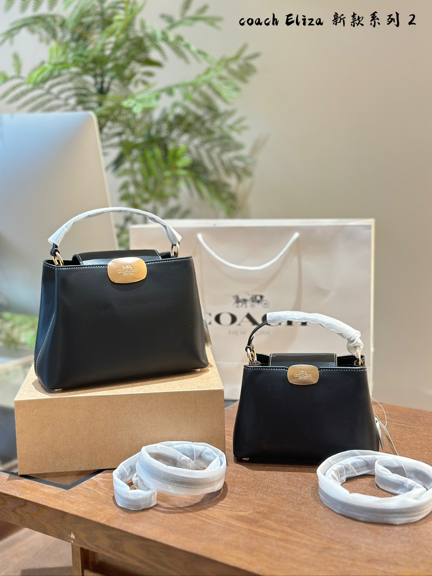 COACH Elizamini handbag