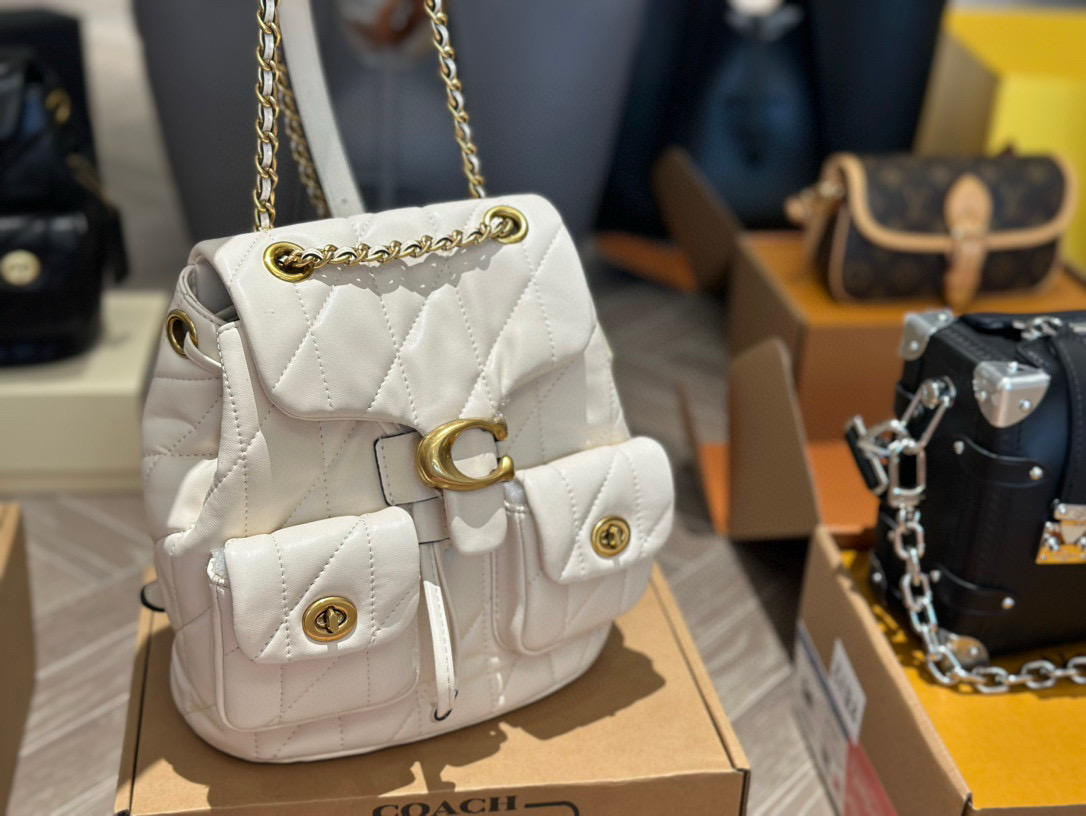 Coach versatile backpack