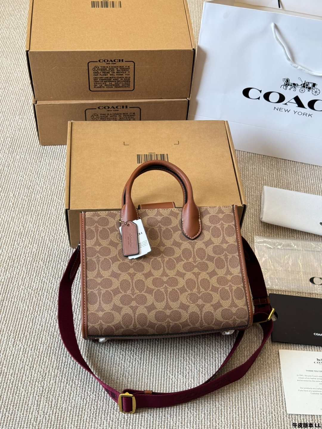 Coach Small Tote Bag is beautiful and practical