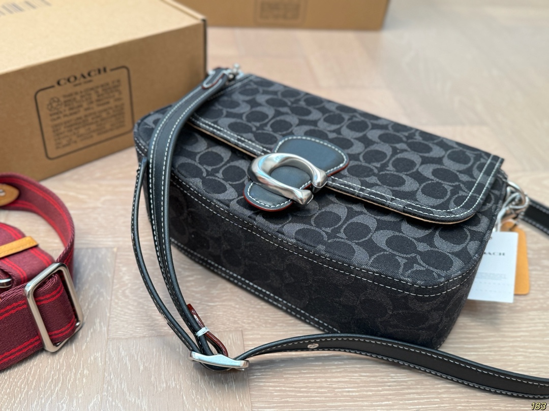 Coach Chambre underarm bag