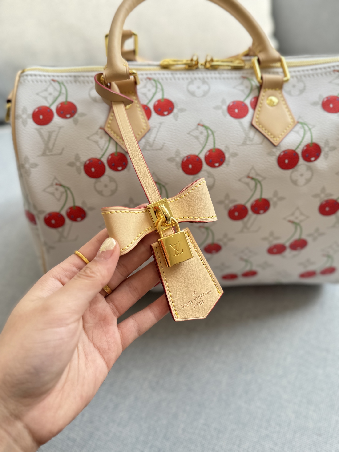 LV xTakashi Murakami cherry Pillowcase