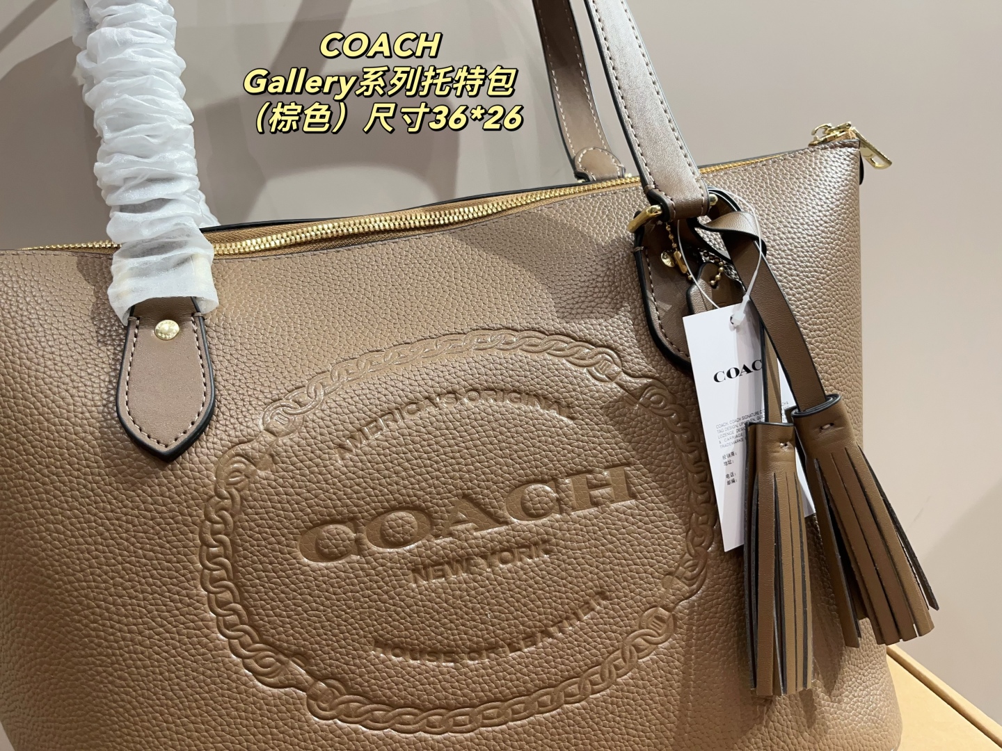 Coach Gallery Series Tote Bag