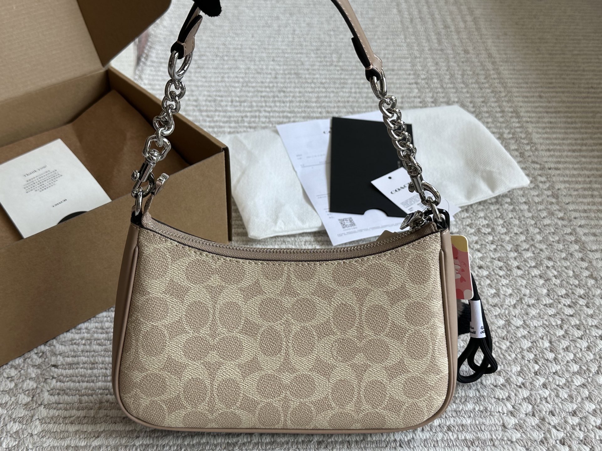 Coach Teri Underarm Bag