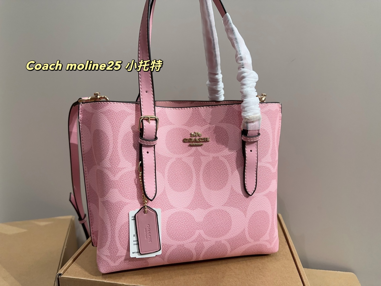 Coach moline25 small tote
