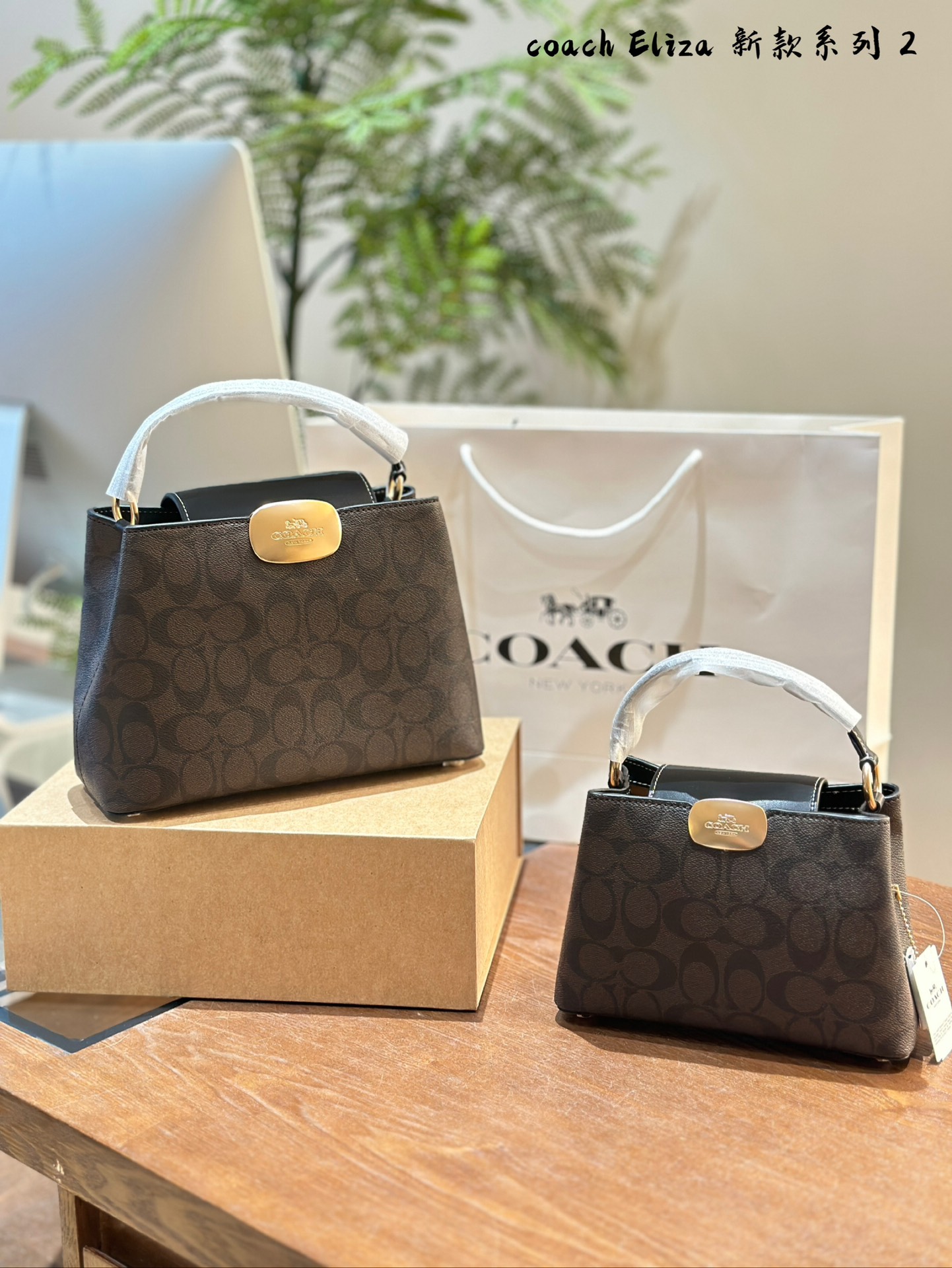 COACH Elizamini handbag