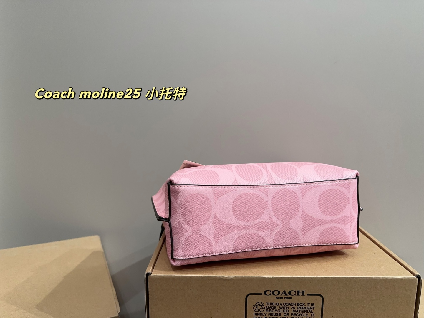 Coach moline25 small tote