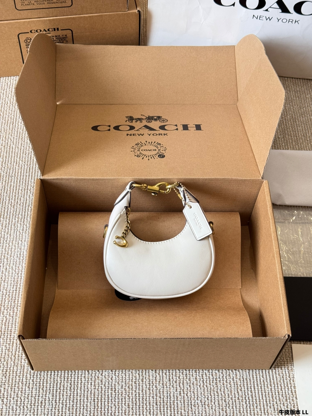 COACH mini crescent bag