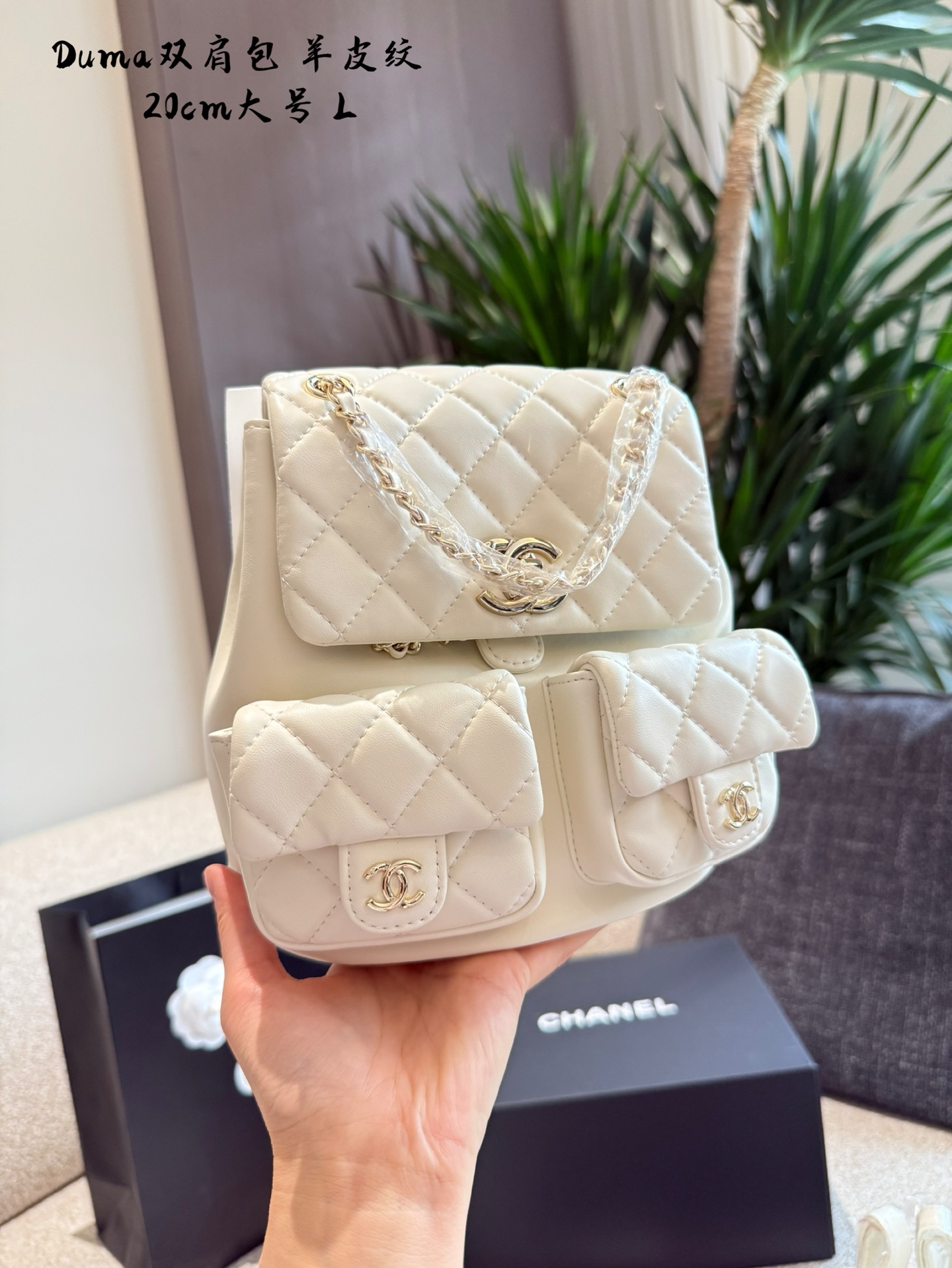 Chanel duma backpack