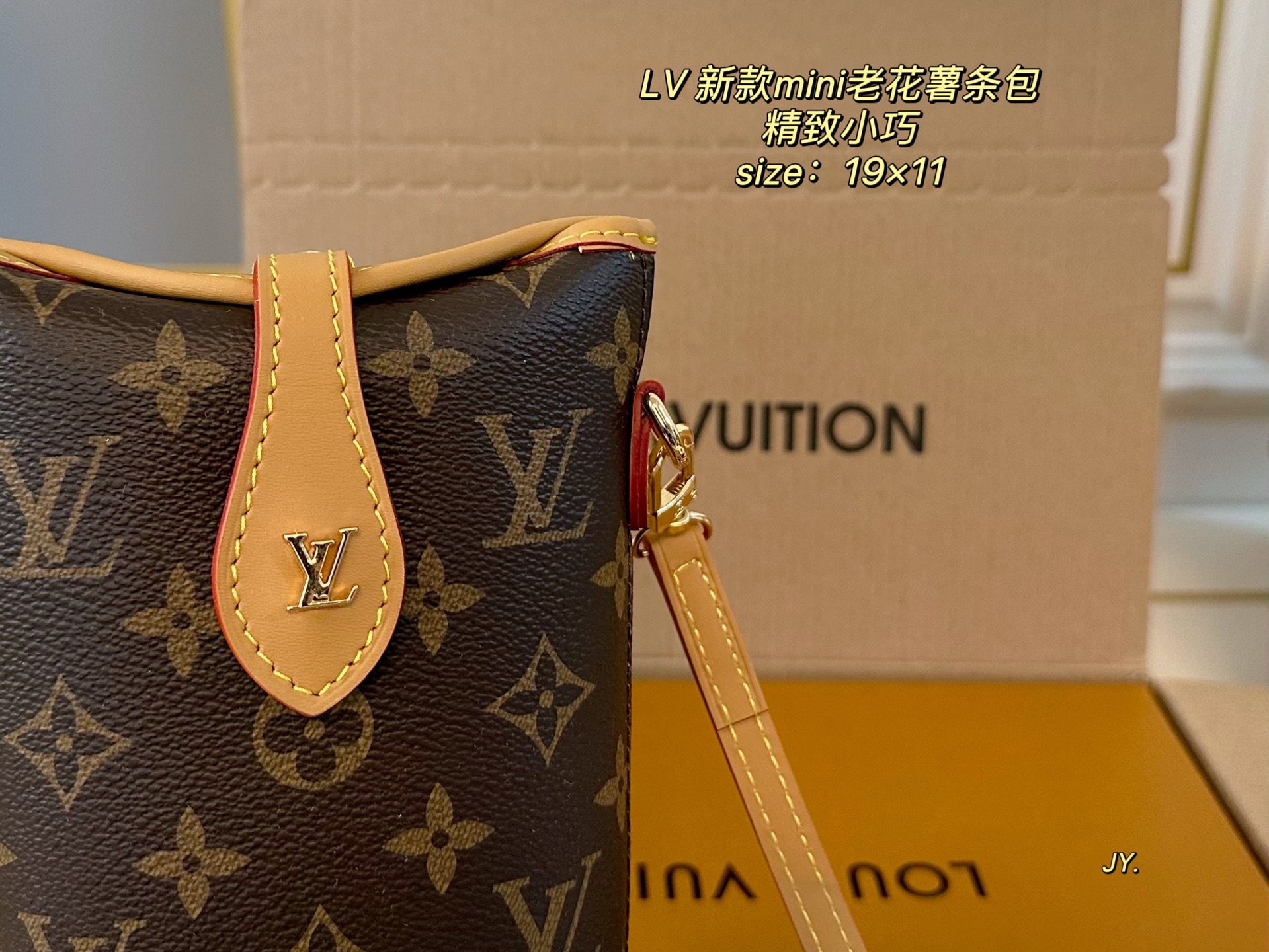 LV mini shoulder bag