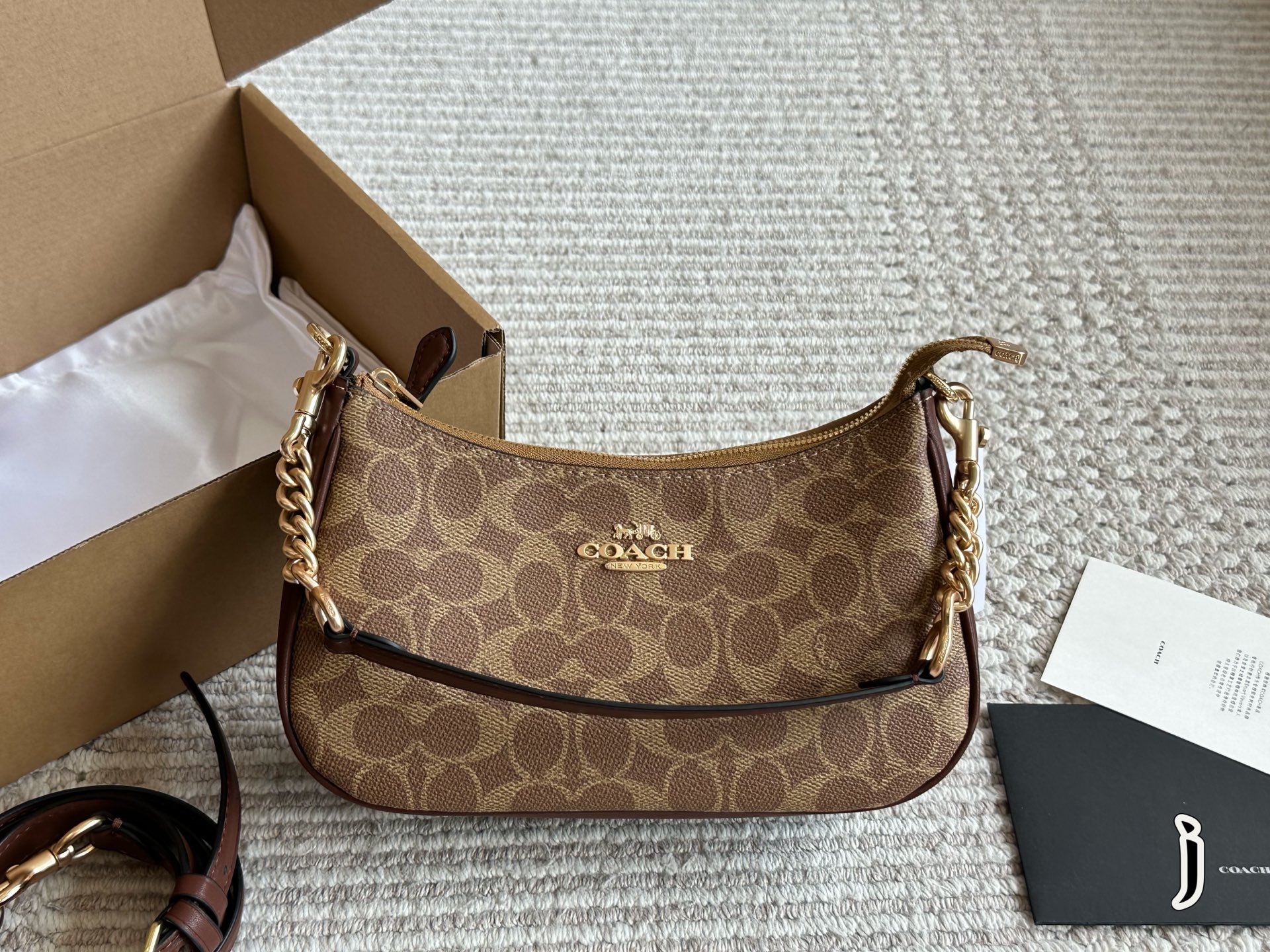 Coach Teri Underarm Bag