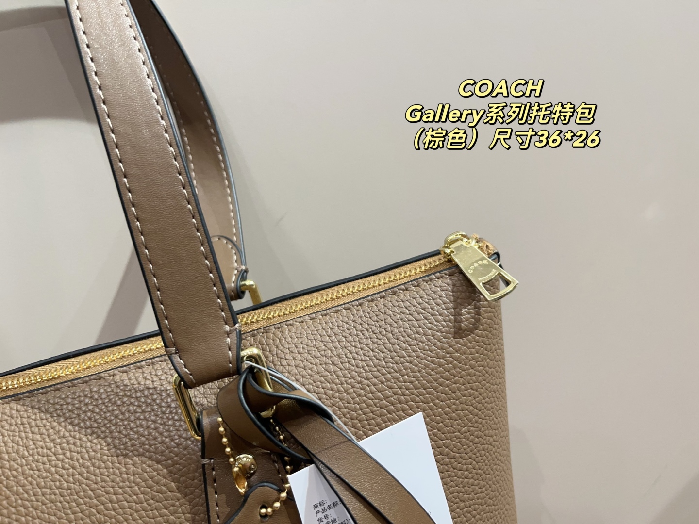 Coach Gallery Series Tote Bag