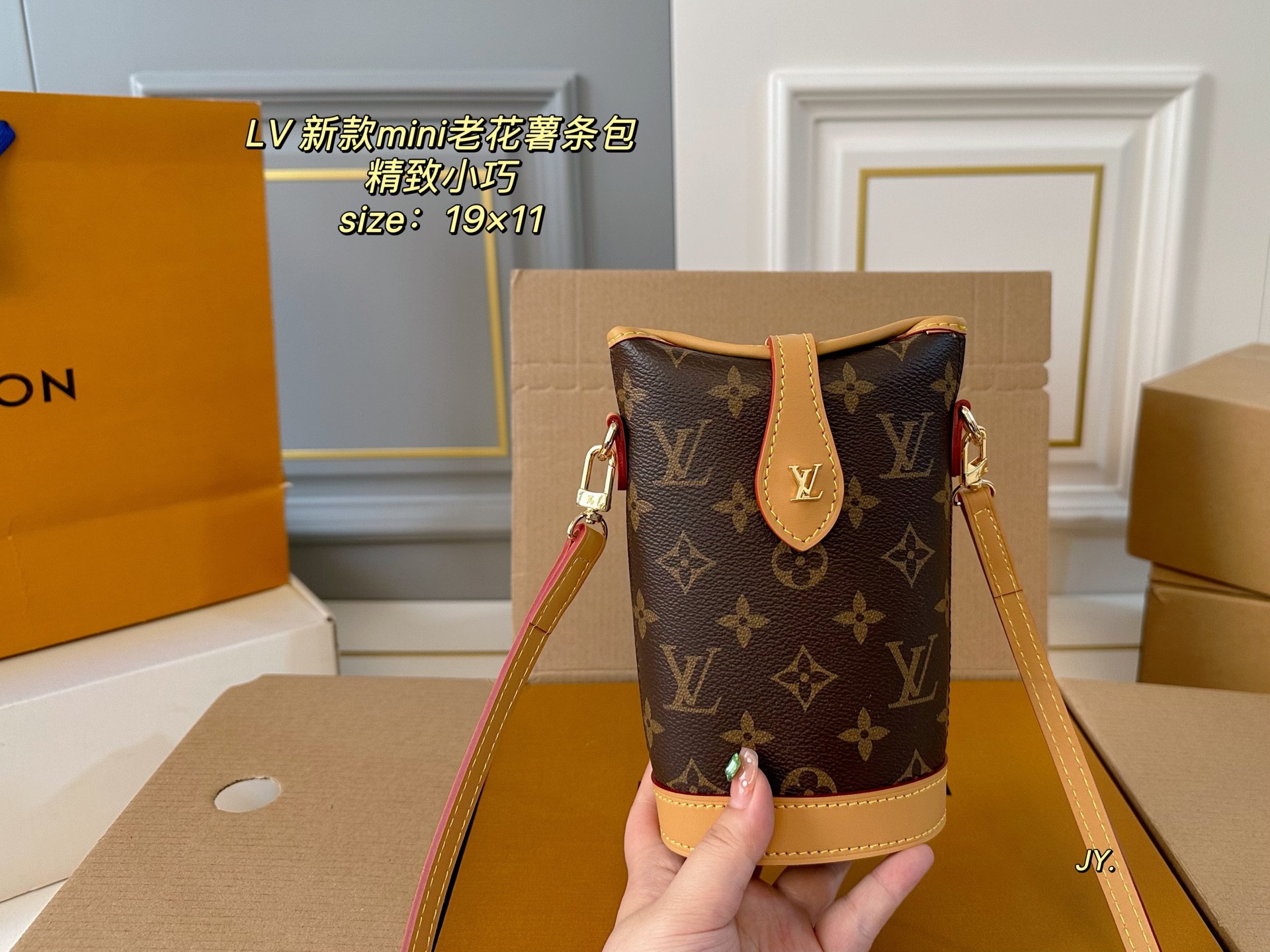 LV mini shoulder bag