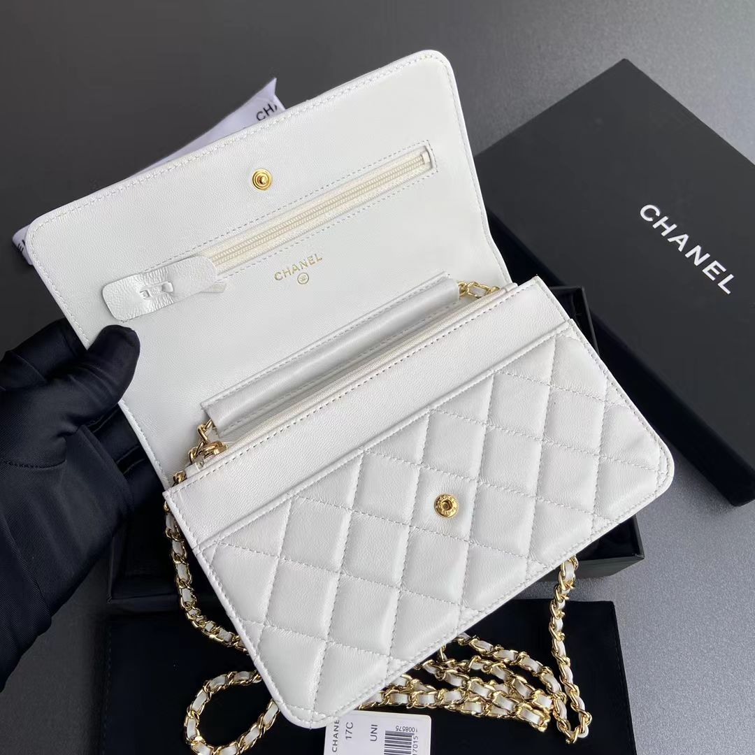 Chanel's high-end version of the money bag