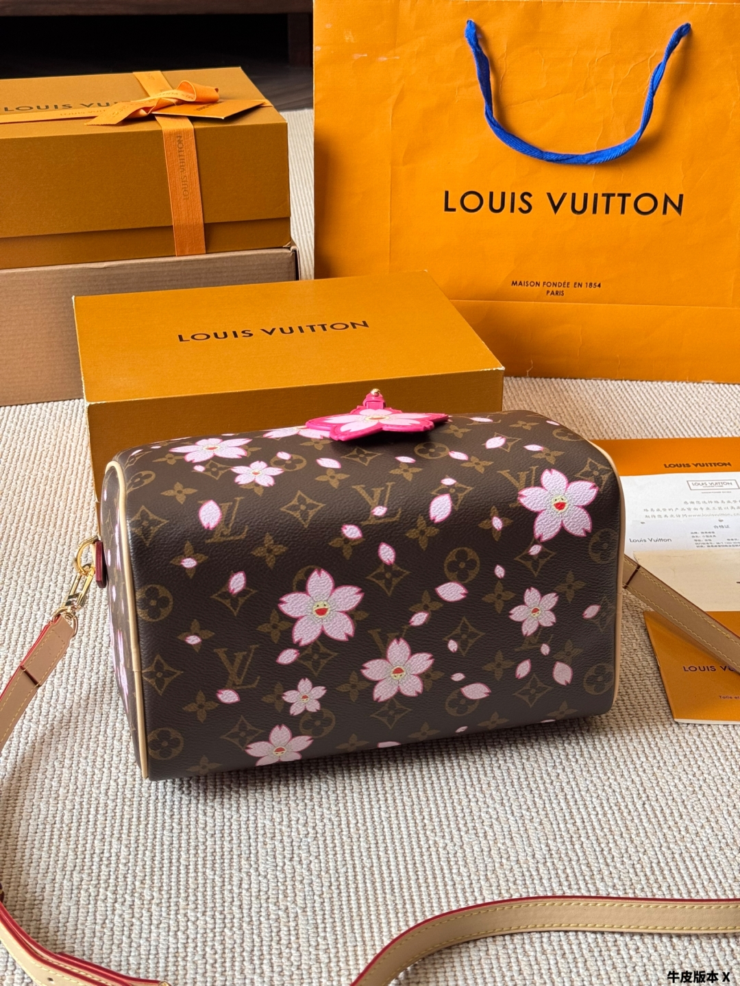 LV Speedy Pillow Bag