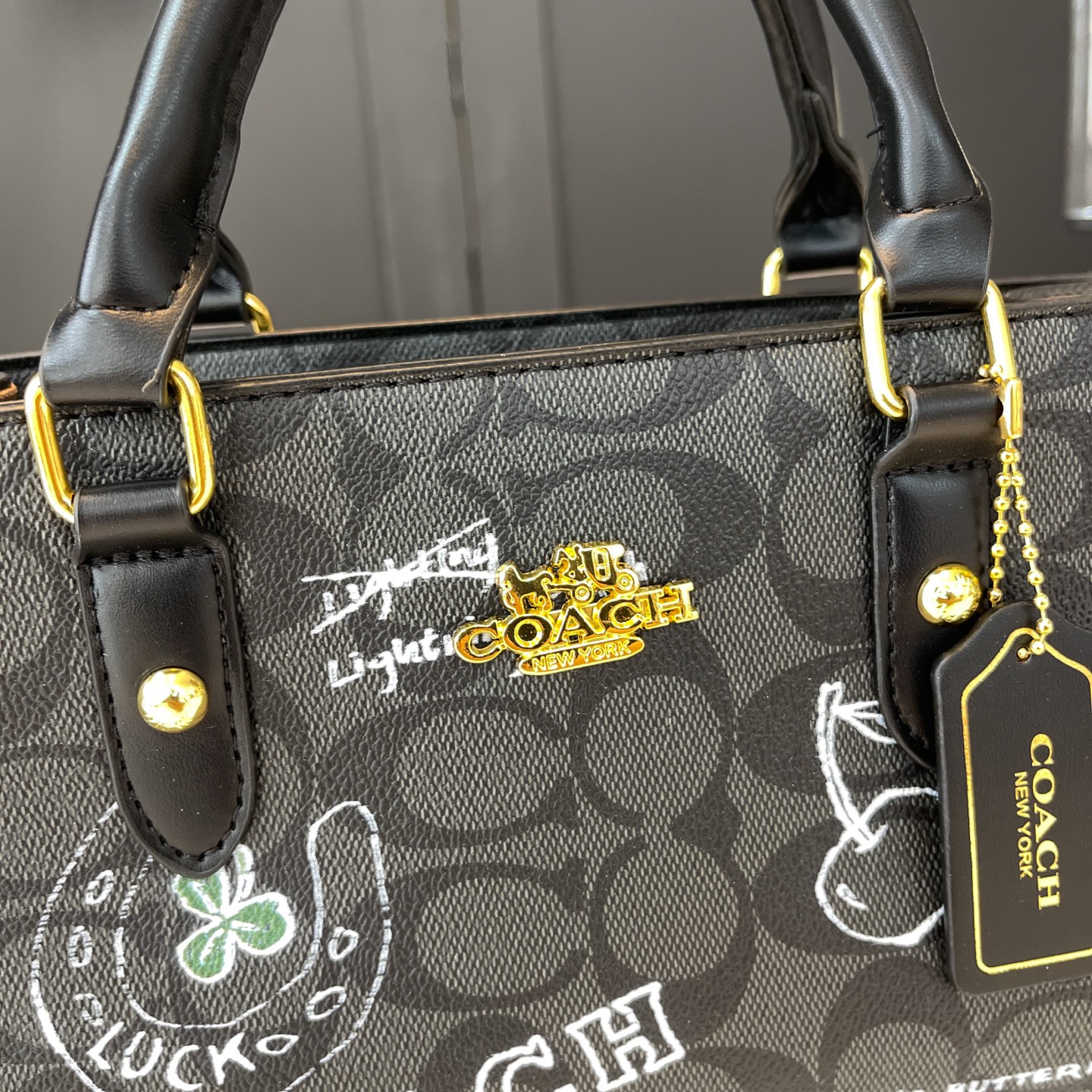 Coach printed women's bag