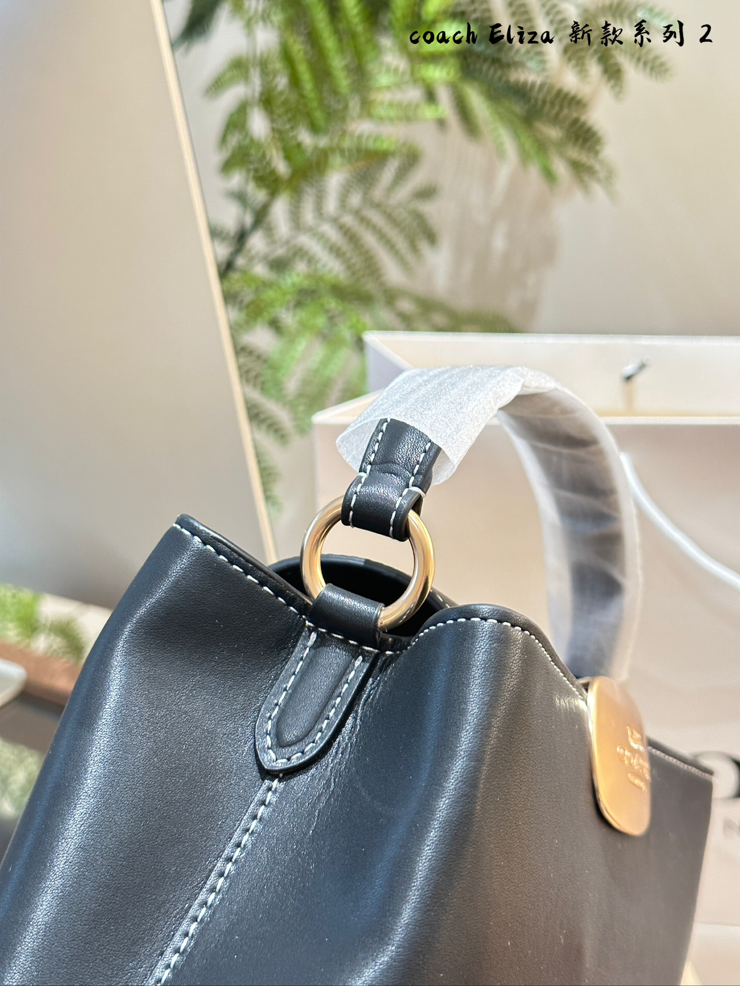 COACH Elizamini handbag