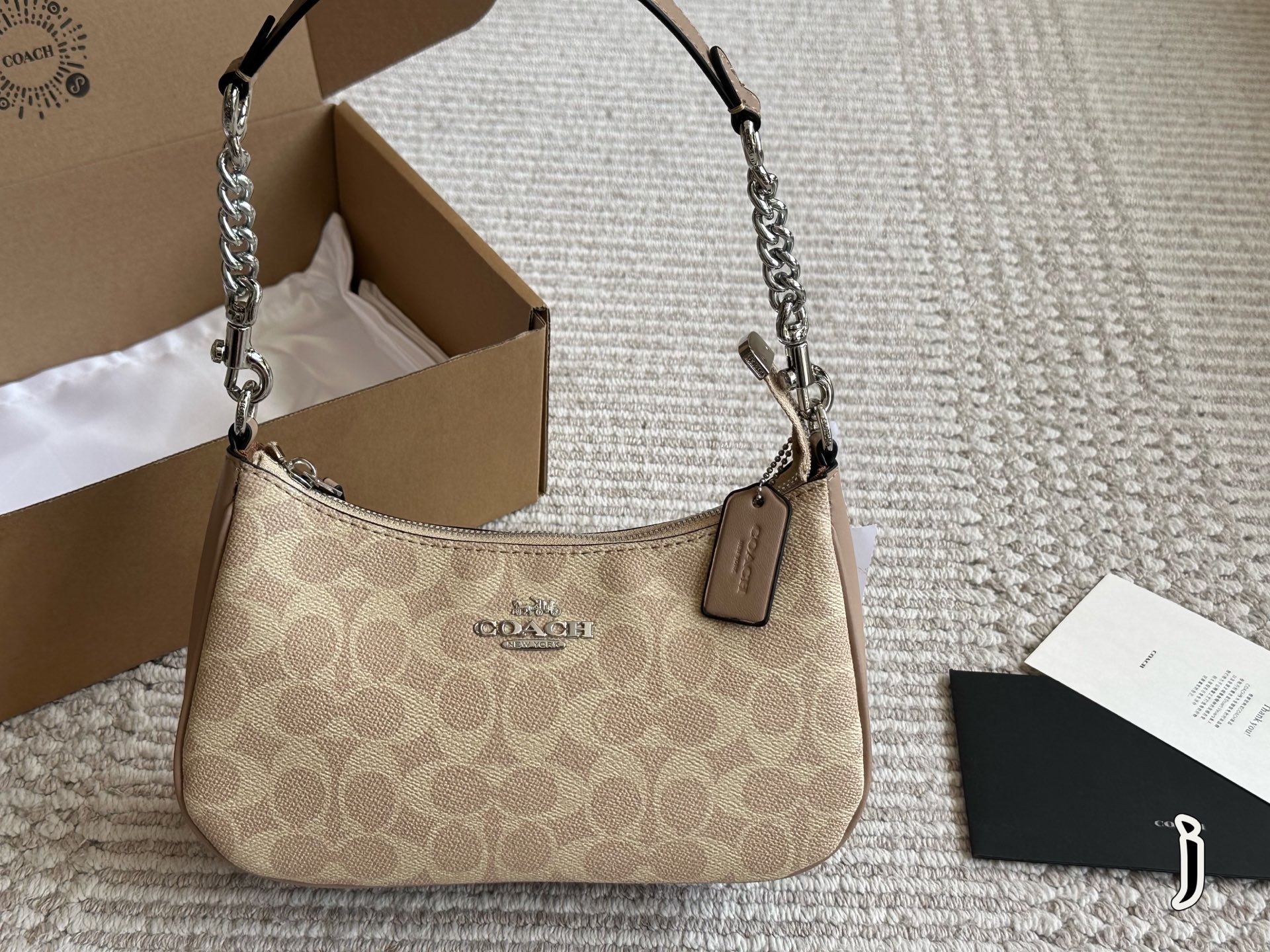 Coach Teri Underarm Bag