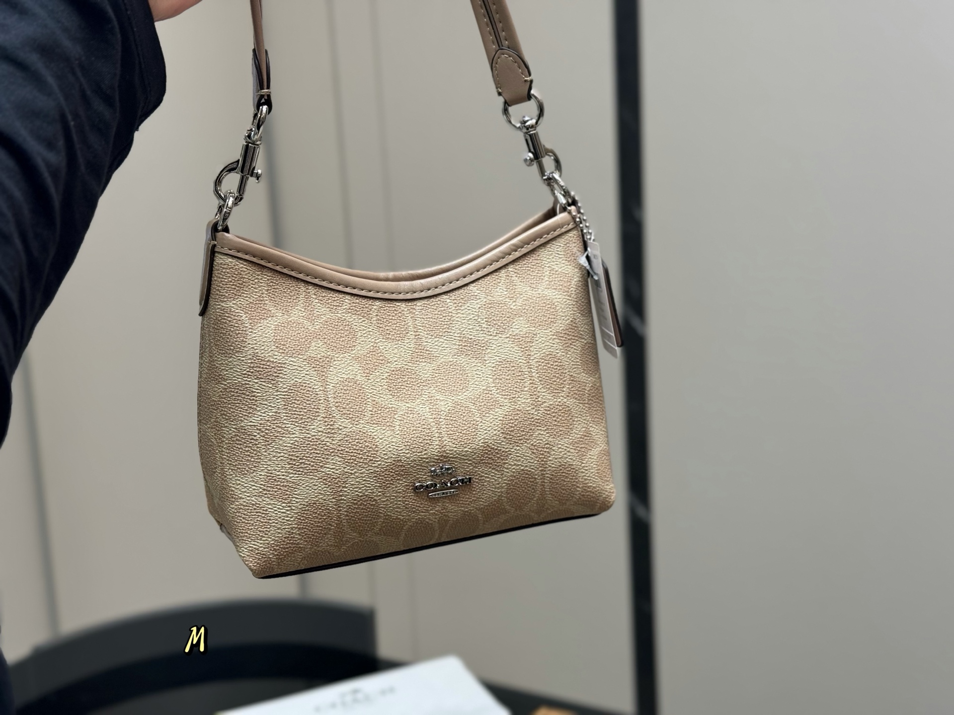 Coach mini Laurel Hobo Bag