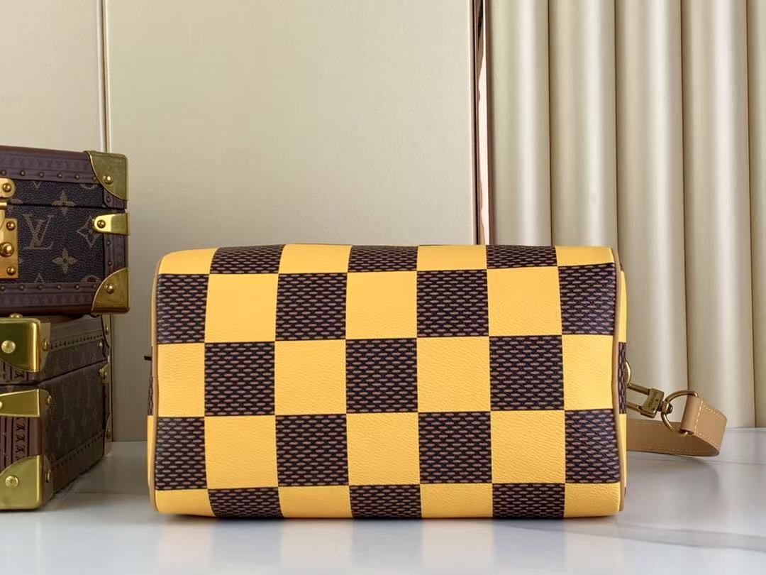 LV SPEEDY BANDOULIERE handbag