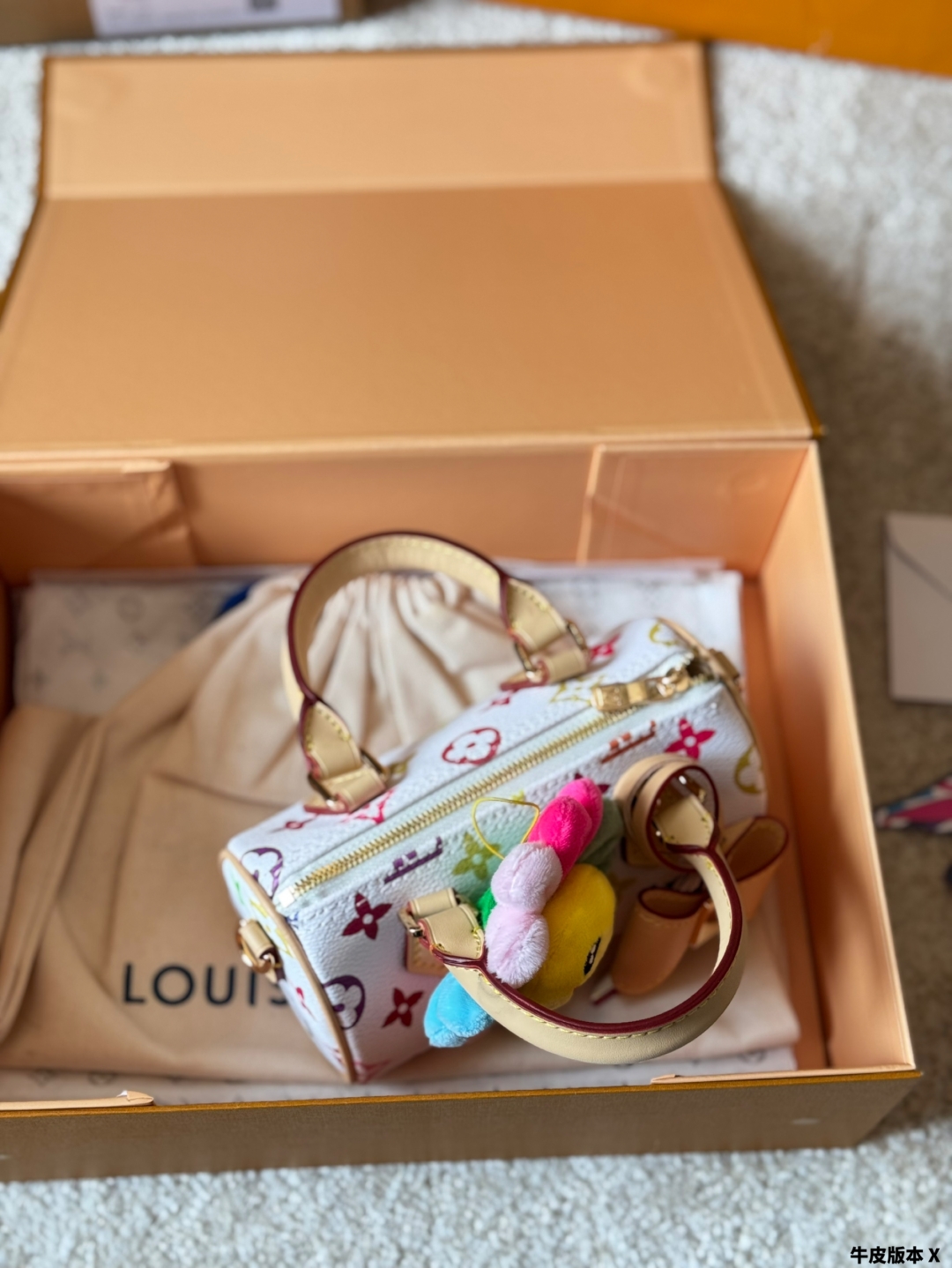 LV Speedy nano new series pillow bag