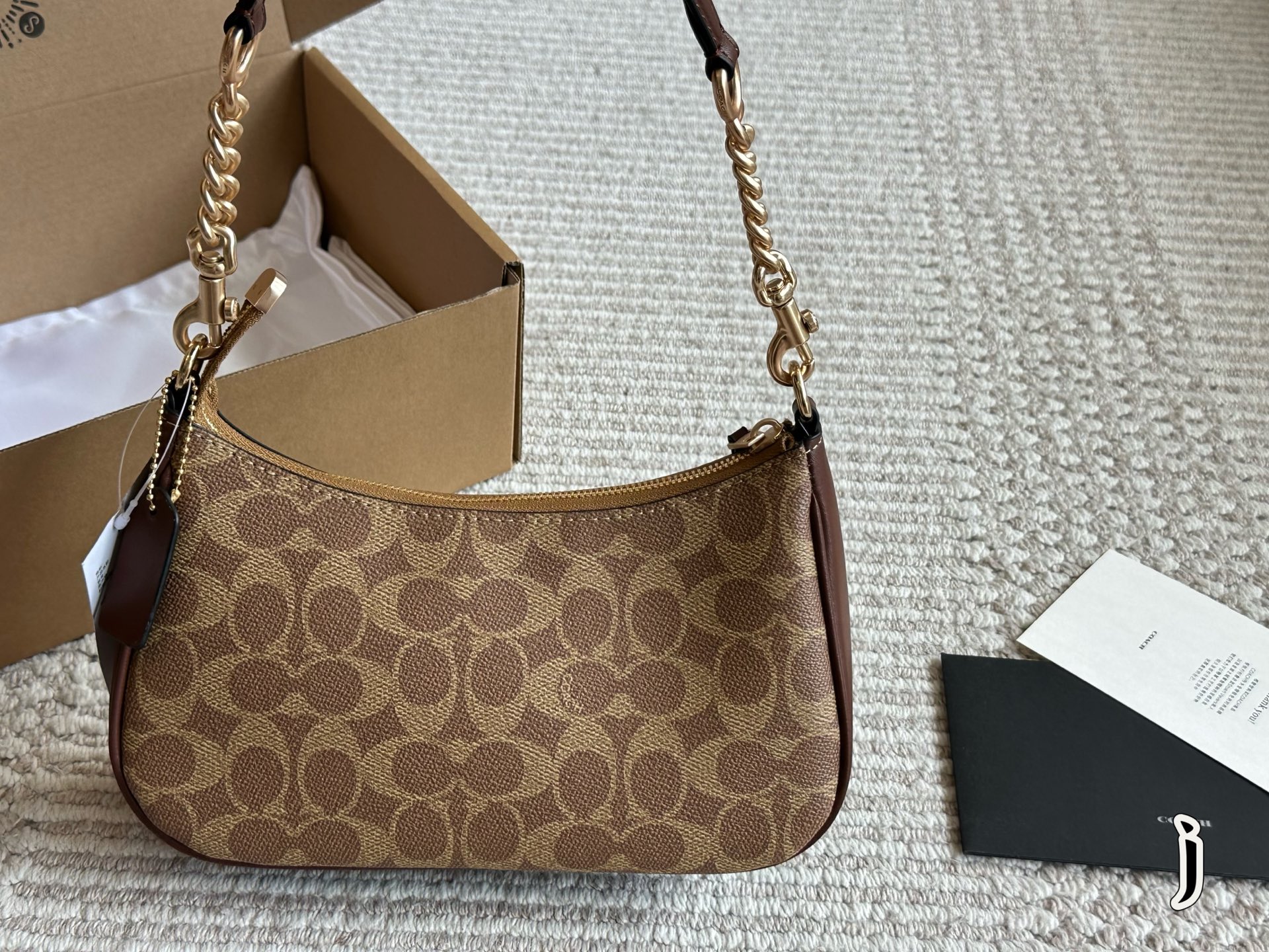 Coach Teri Underarm Bag