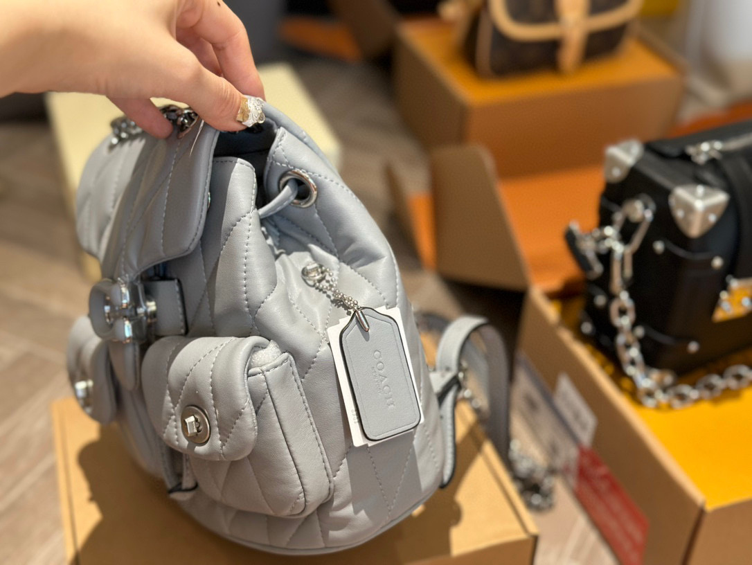 Coach versatile backpack