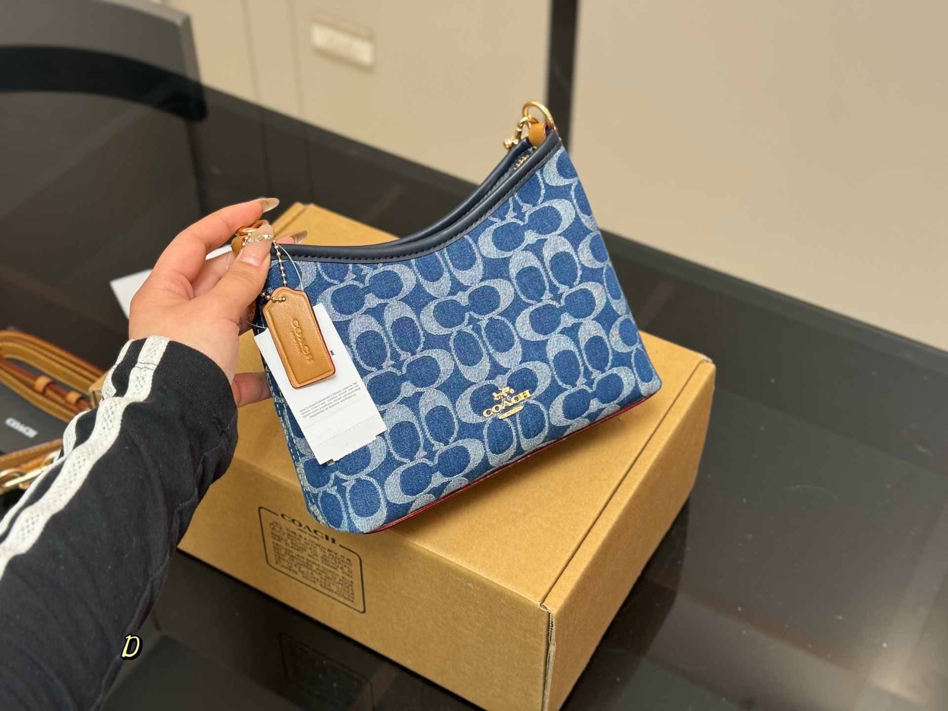 Coach mini Laurel Hobo bag