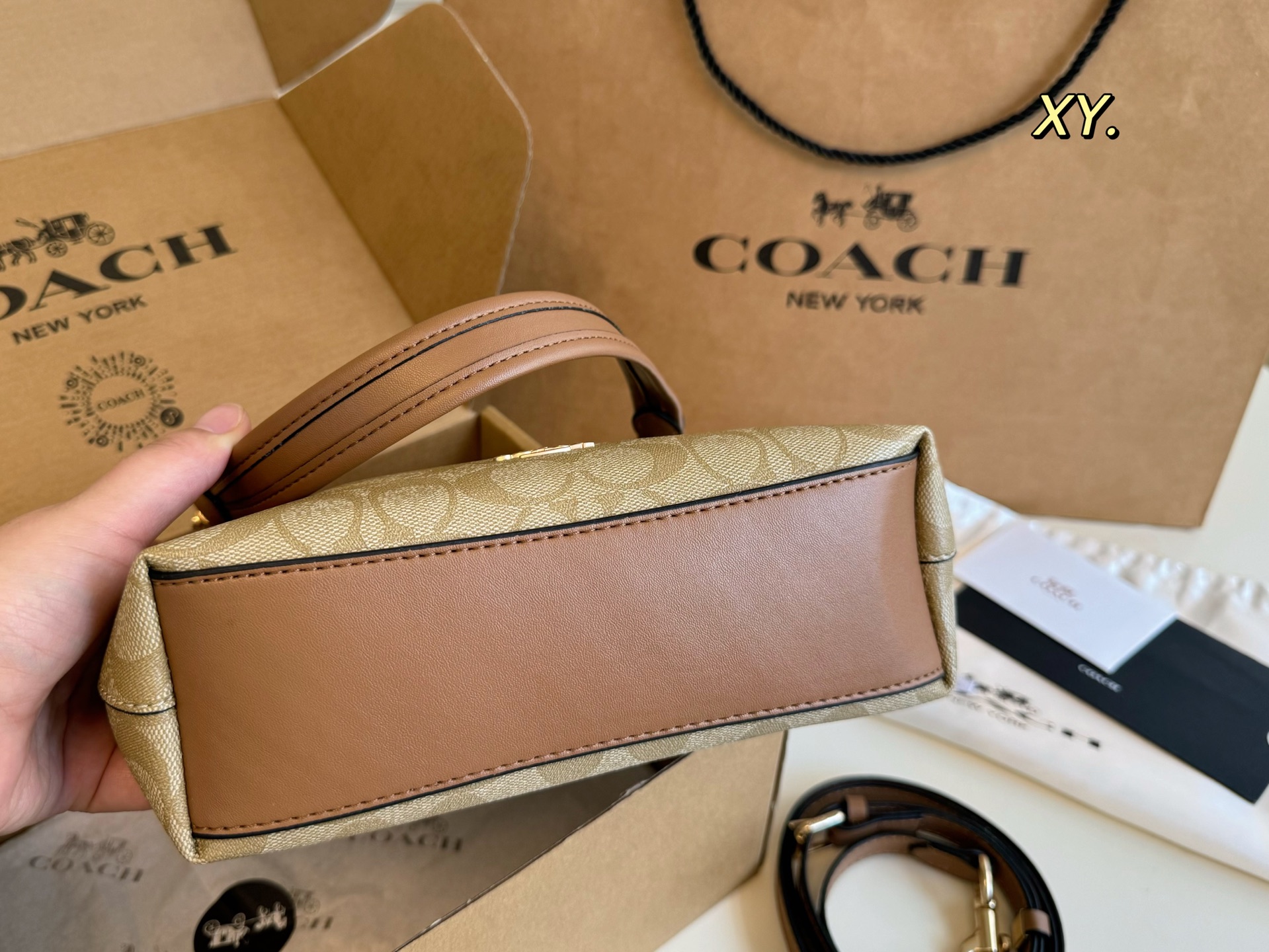Coach mini Laurel Hobo Bag