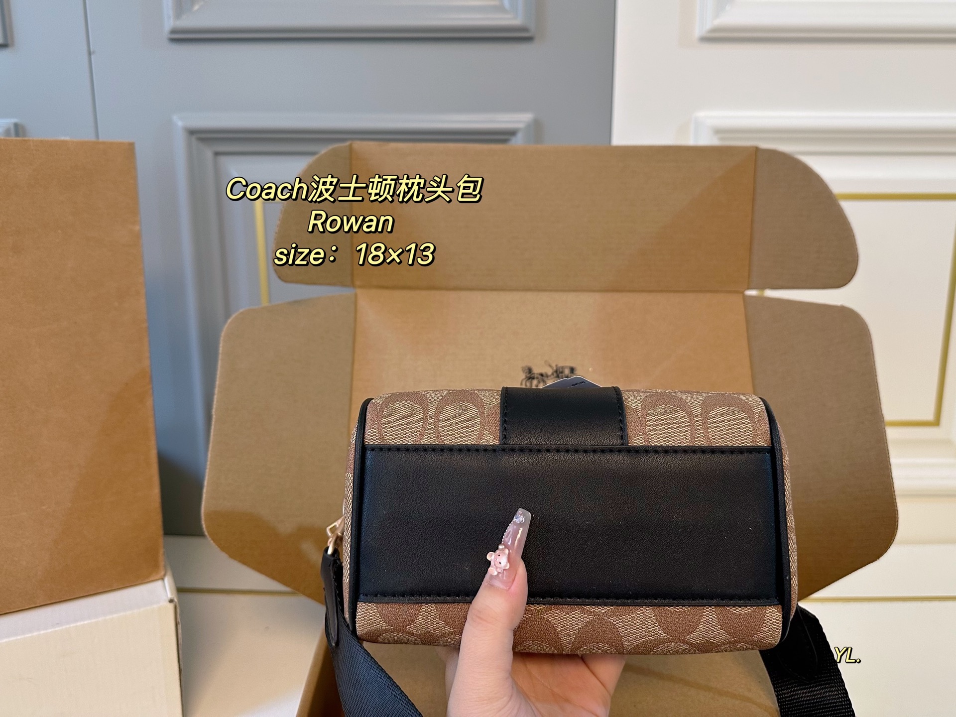 Coach's new Rowan Boston pillow bag